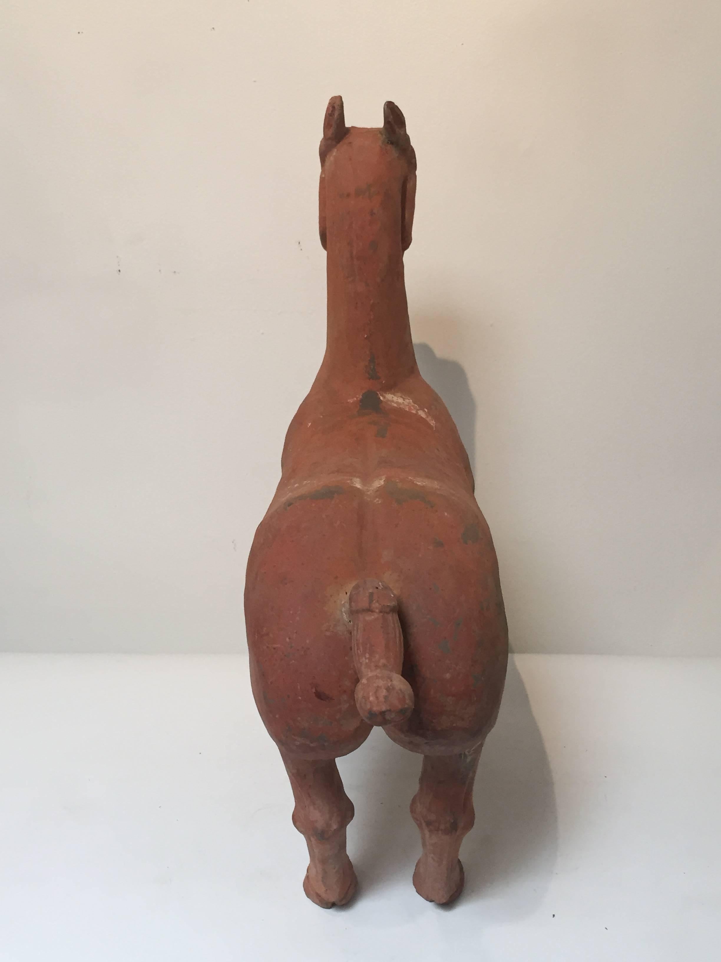 Pottery Ancient Han Dynasty Horse with Pigments For Sale