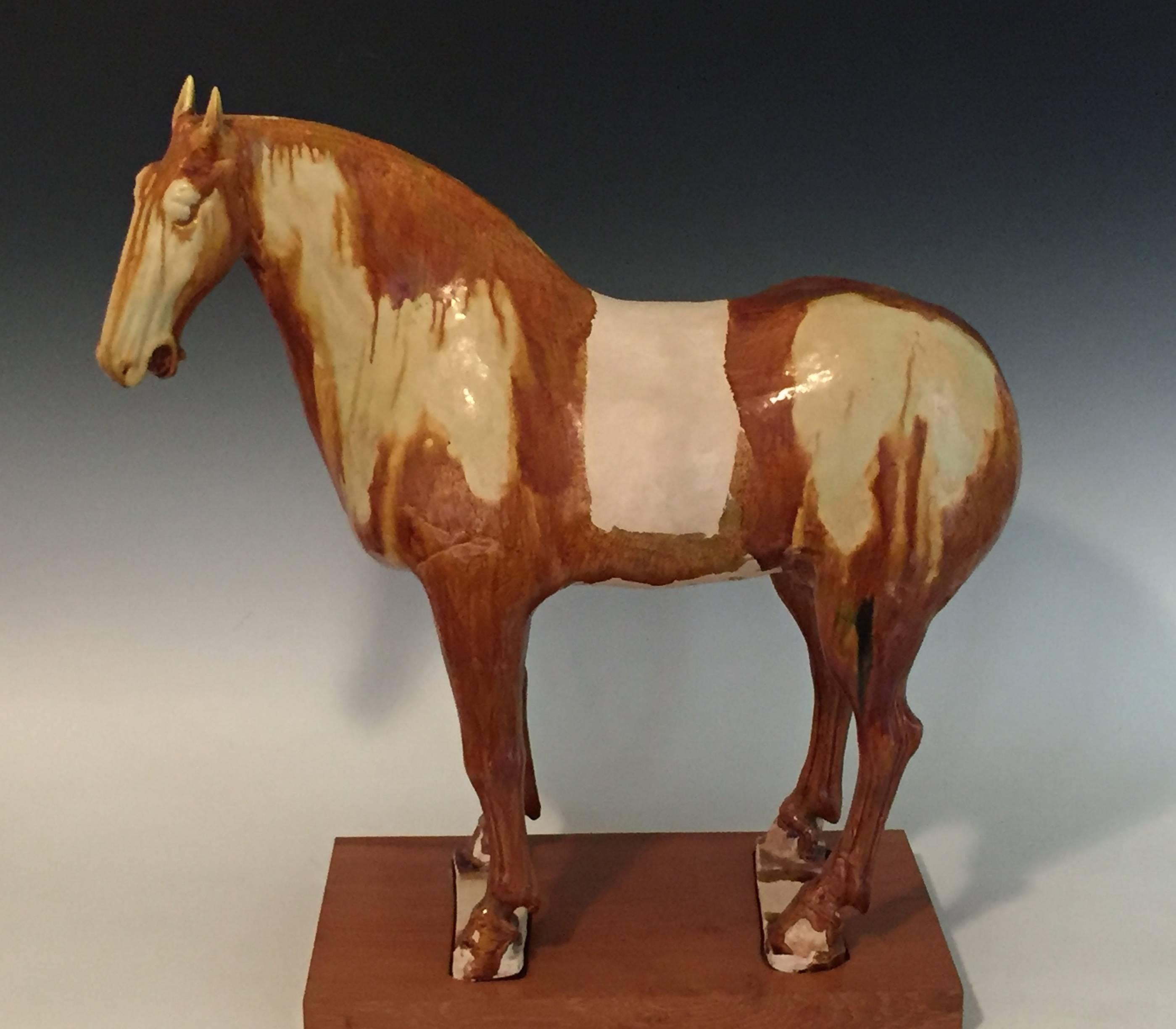 tang dynasty horse for sale