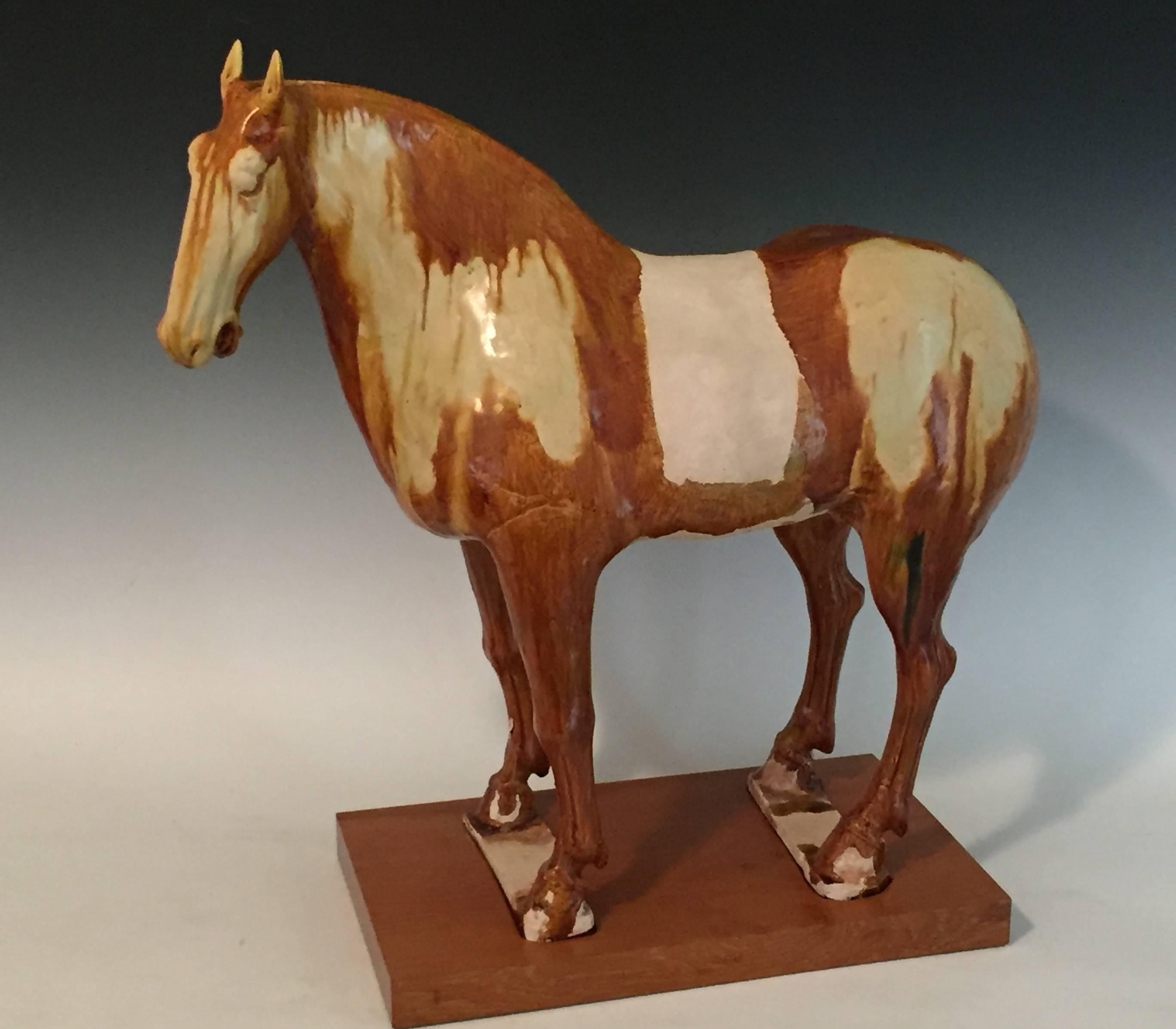 Chinese  8th Century Tang Dynasty Amber Glazed Horse For Sale
