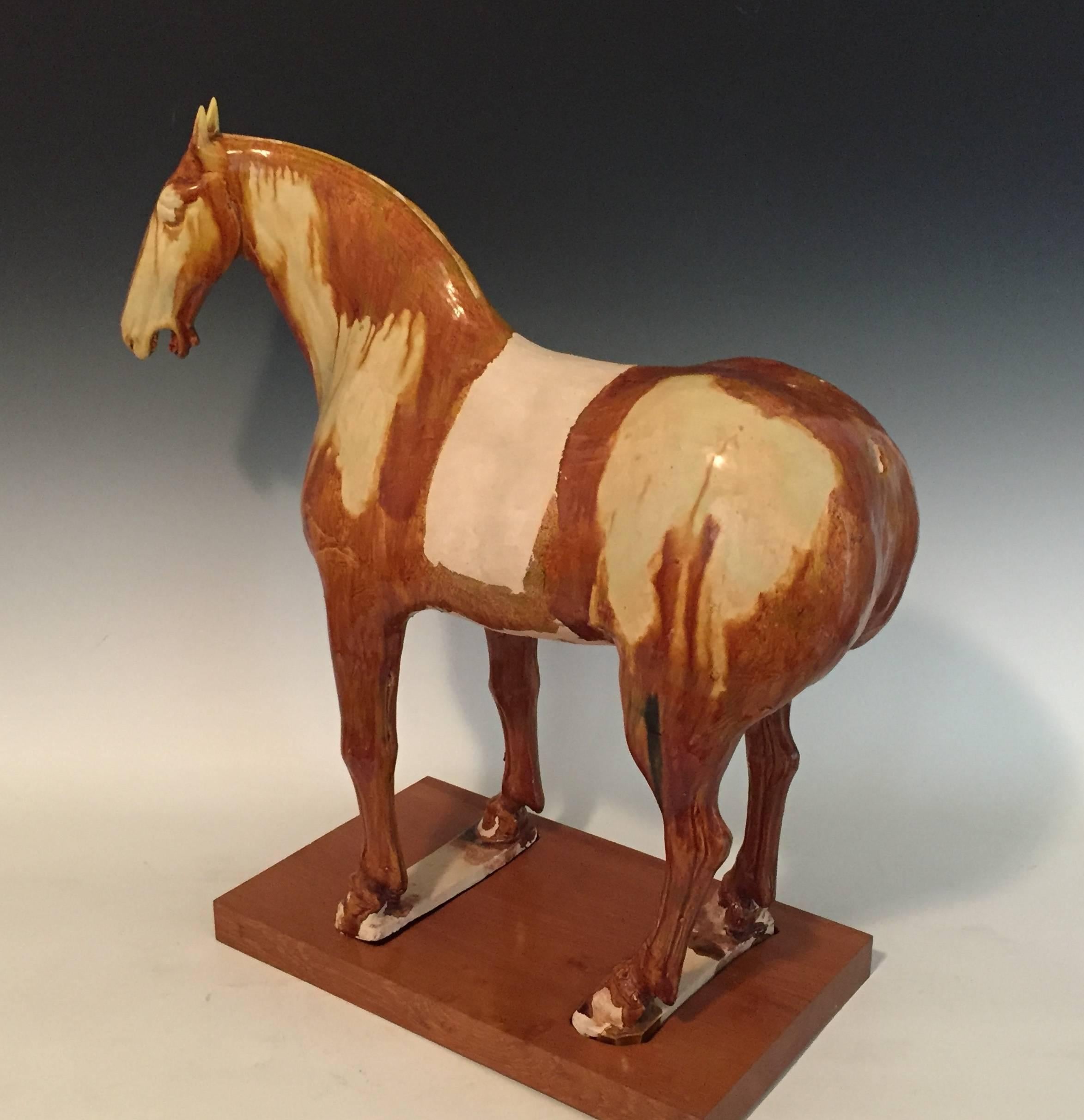 18th Century and Earlier  8th Century Tang Dynasty Amber Glazed Horse For Sale