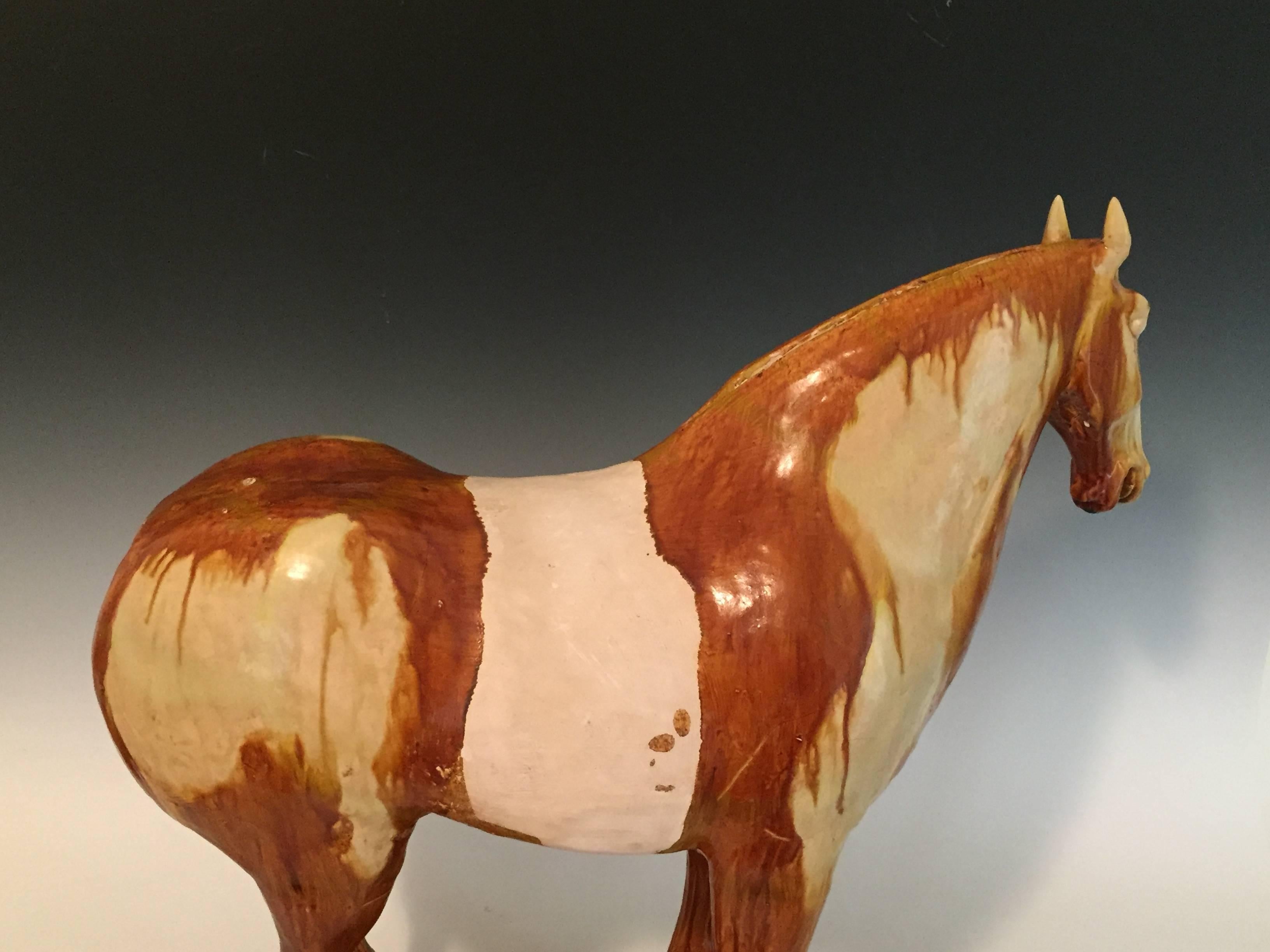 8th century Tang Dynasty horse coated in amber and cream colored glaze. Standing on two small bases to support the front and back legs. Saddle area unglazed.
With TL Test from Oxford Laboratories.
Measures: 22-3/4” high x 22-3/4” long x 7-1/2”
