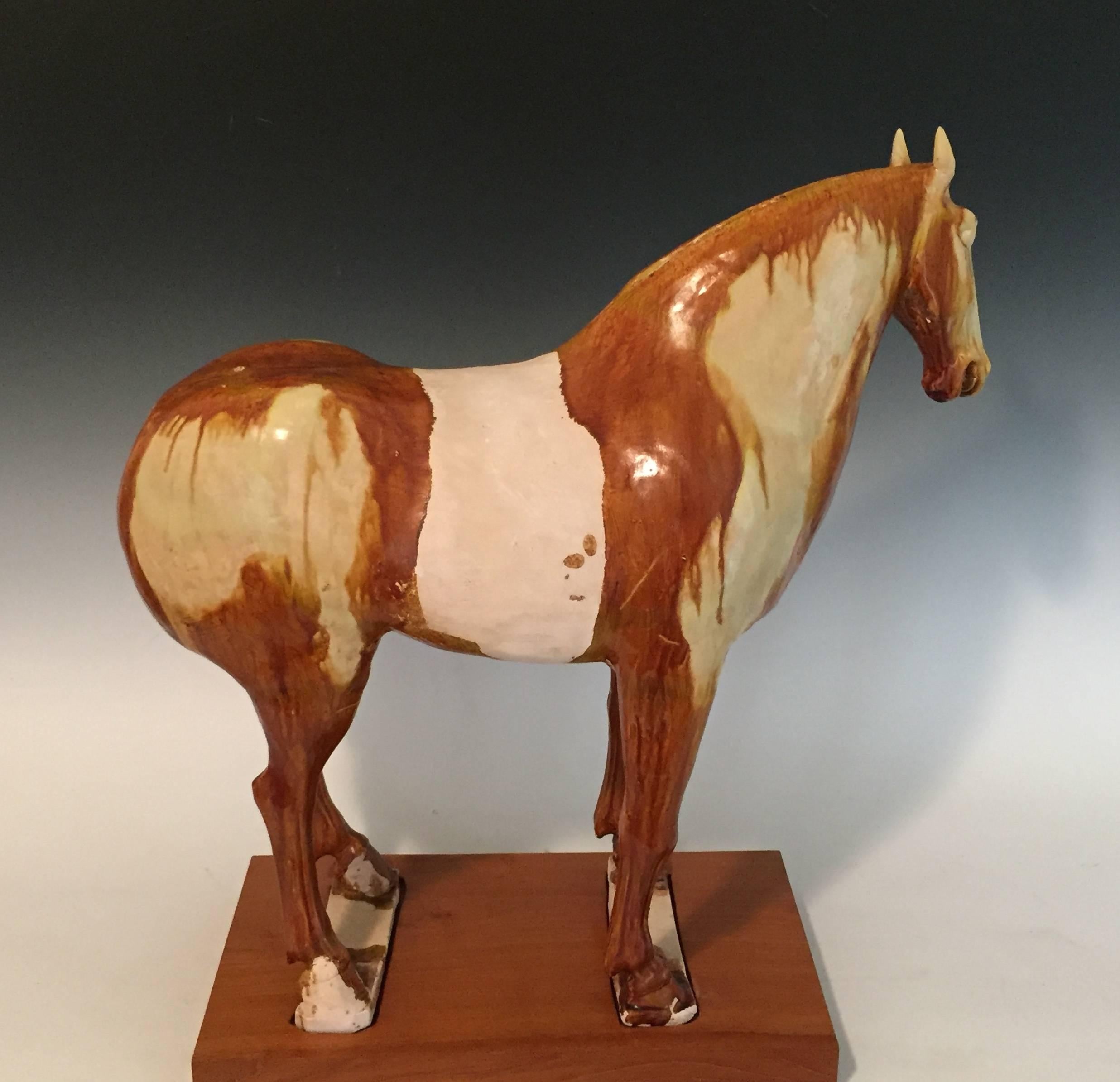  8th Century Tang Dynasty Amber Glazed Horse For Sale 1