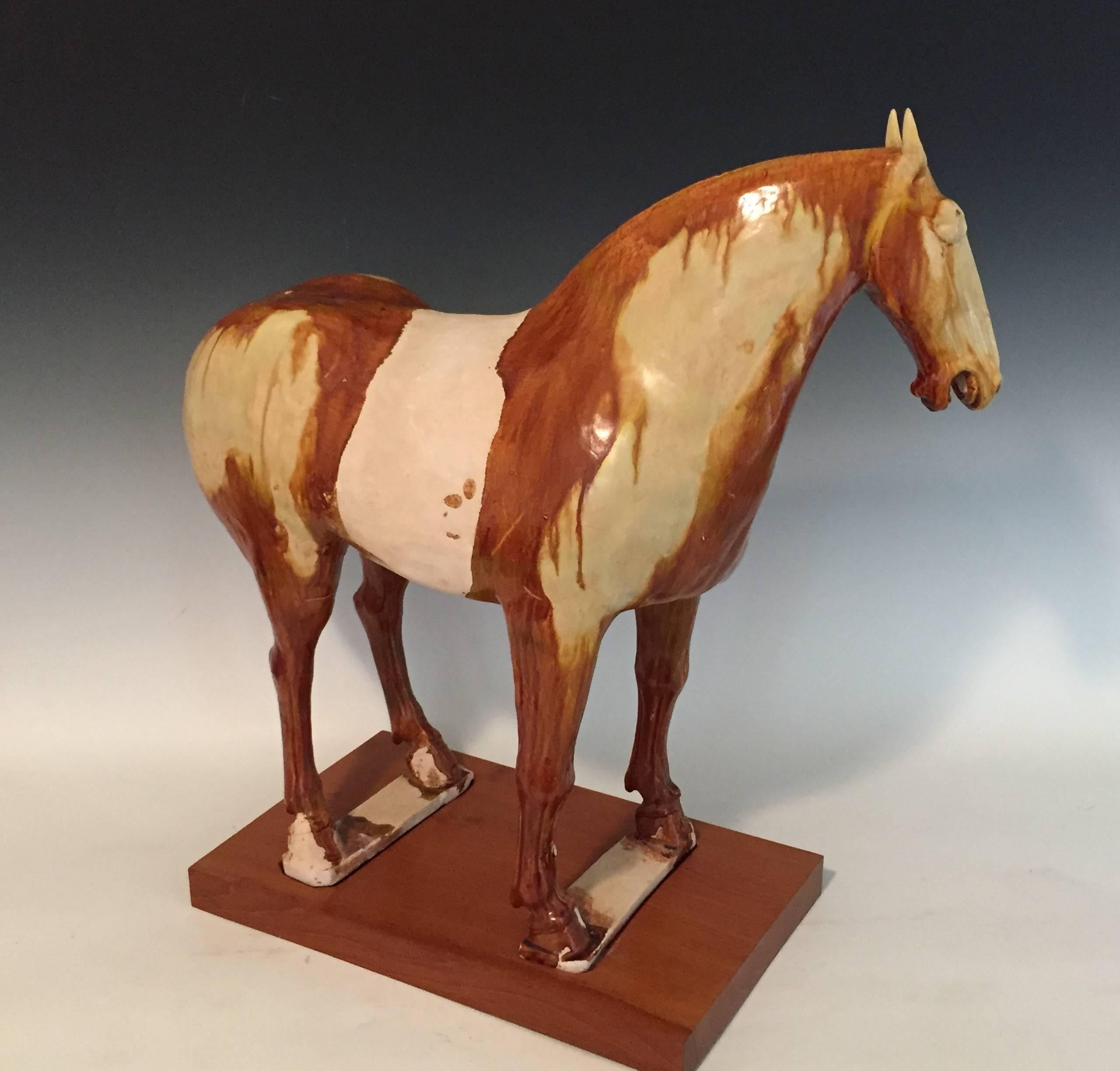 8th Century Tang Dynasty Amber Glazed Horse For Sale 2