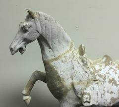 Antique Chinese Prancing Horse From The Tang Dynasty