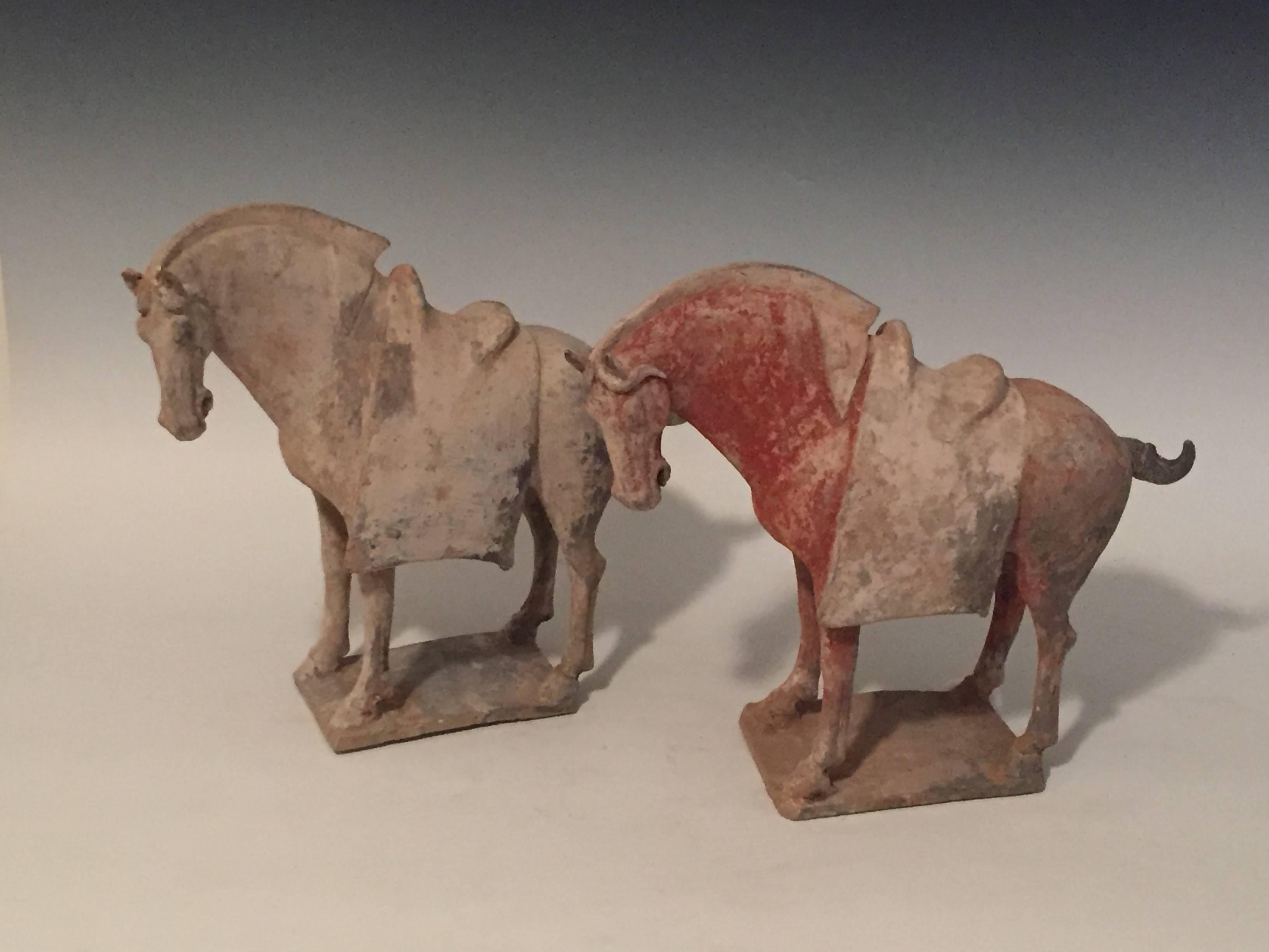 Pair of Antique Pottery Horses From The Tang Dynasty For Sale 2