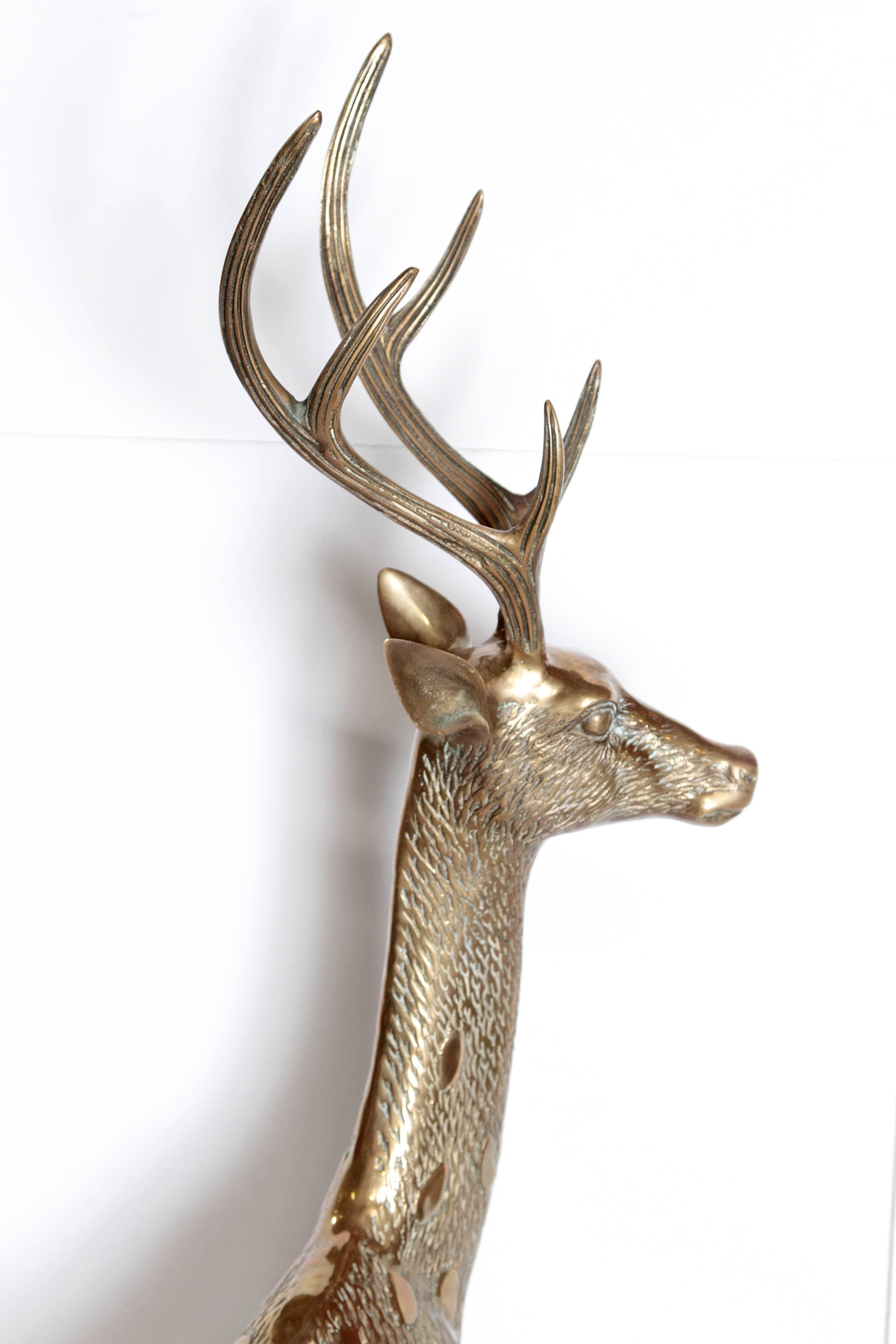 Large vintage solid brass deer sculpture in great condition. Measures 50 inches from floor to top of antler and 33 inches from hoof to nose.