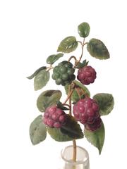 20th Century Russian Hardstone Flower Study