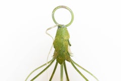 Large Green Chandelier with Seven Sockets