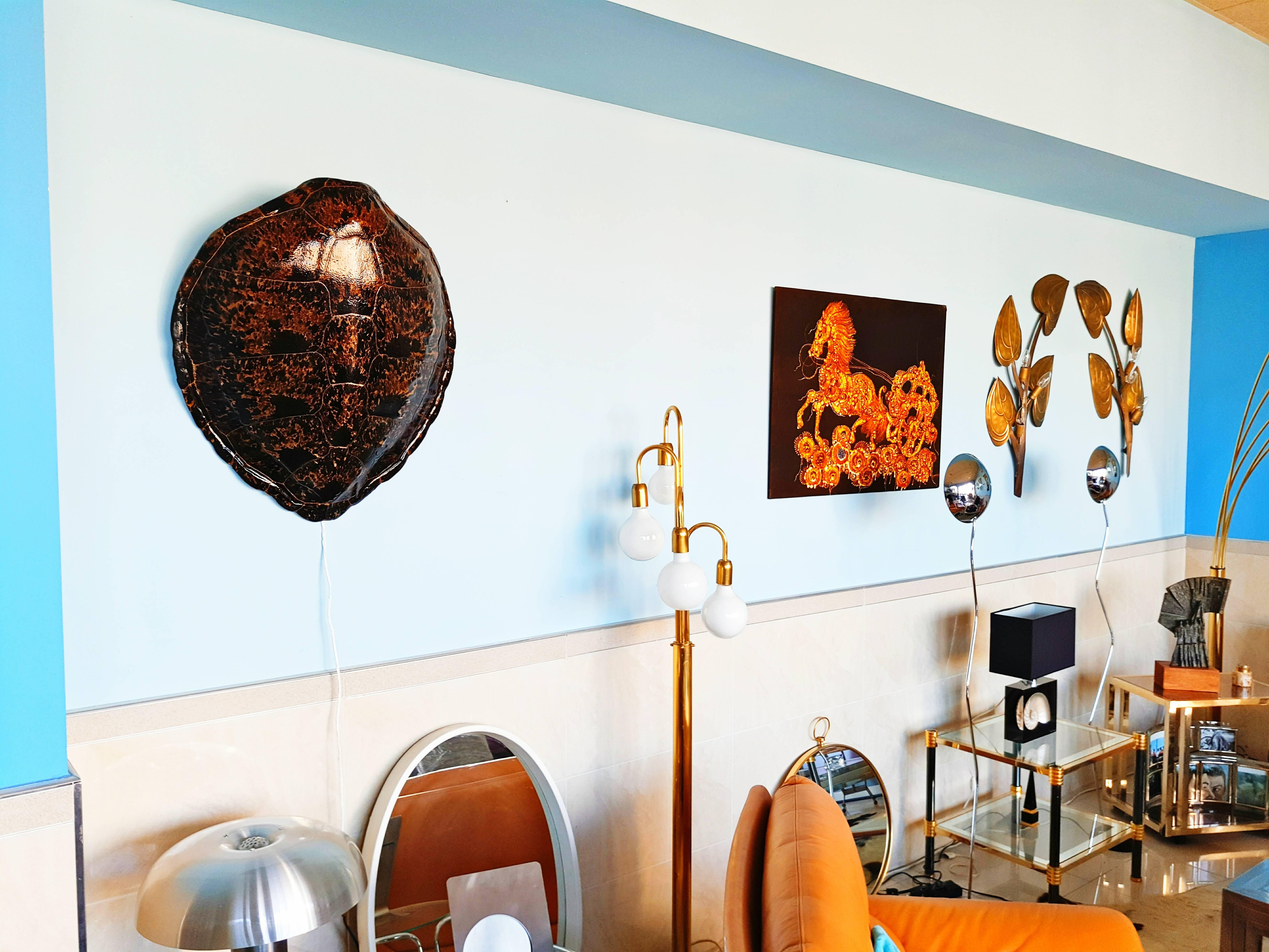 Rare Large Turtle Shell Sconce, circa 1960 2
