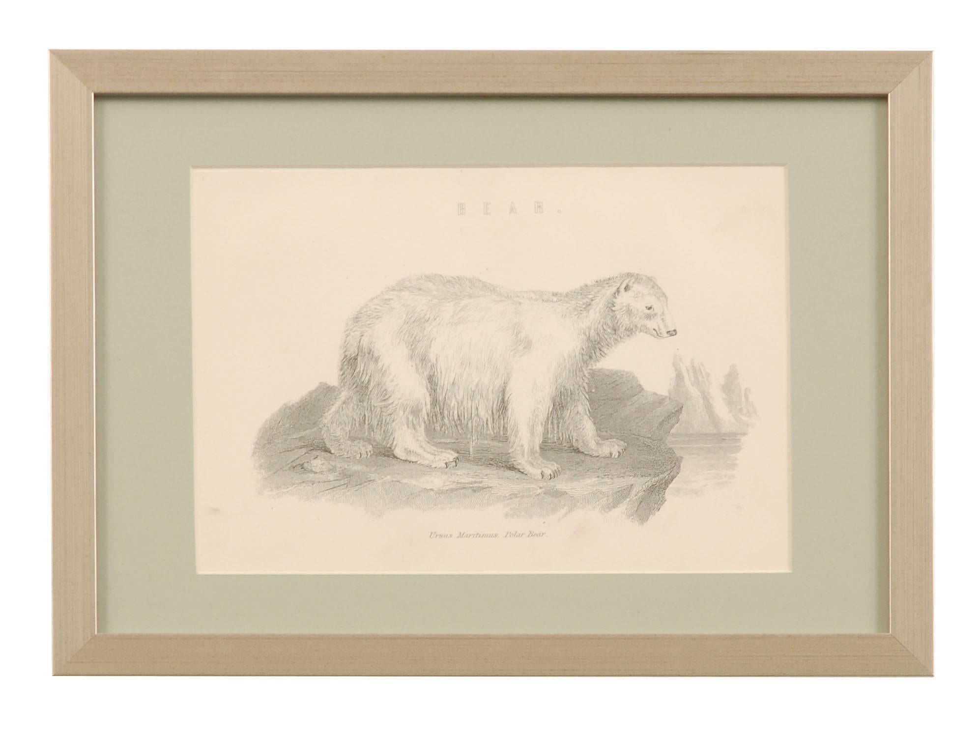 British 19th Century Framed Antique Engravings of Natural History Animals For Sale
