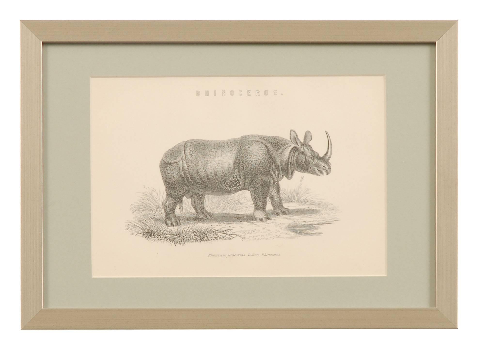 19th Century Framed Antique Engravings of Natural History Animals In Good Condition For Sale In Gloucestershire, UK