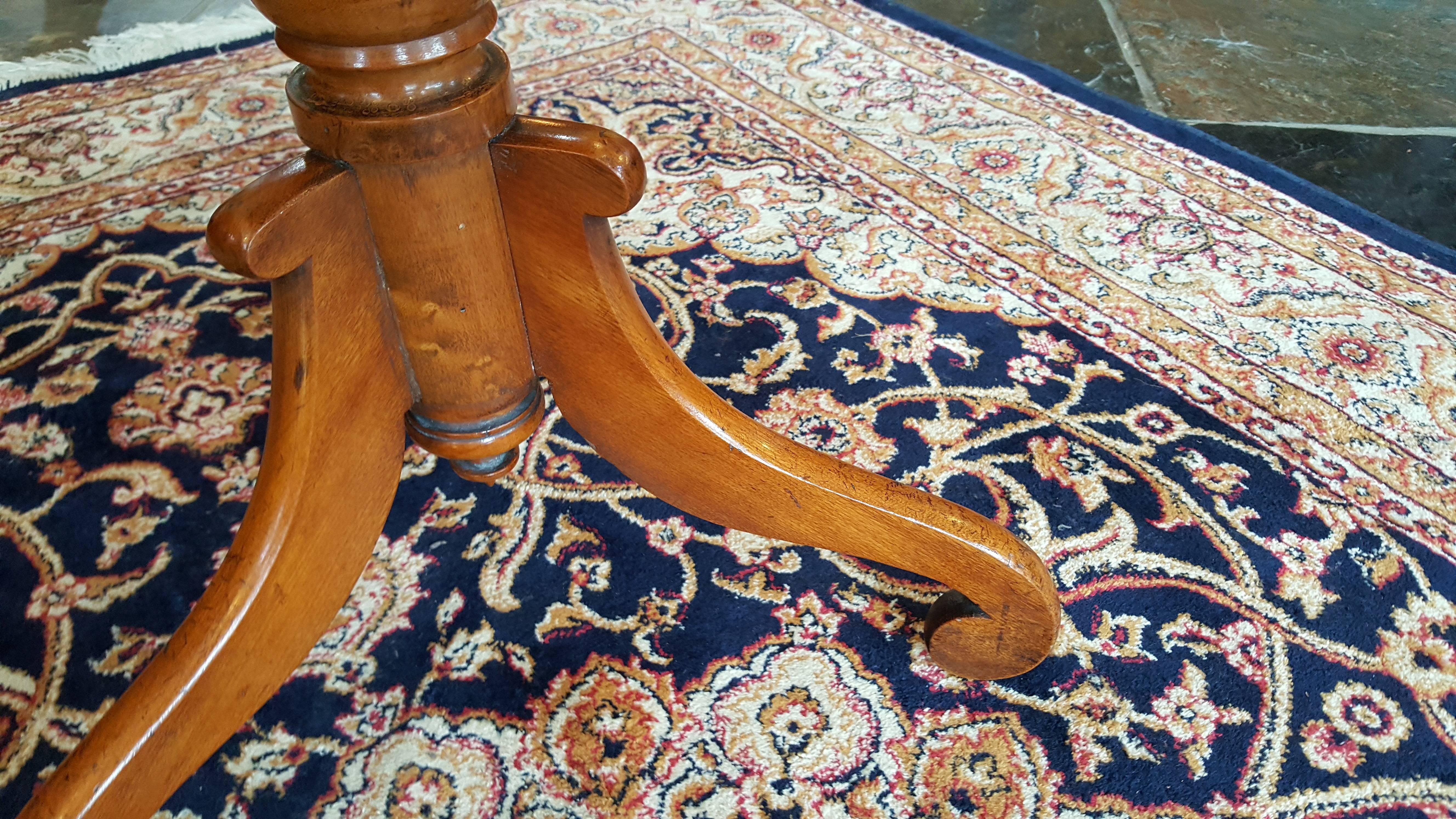 Victorian Specimen Wood Occasional Table In Excellent Condition For Sale In Altrincham, Cheshire