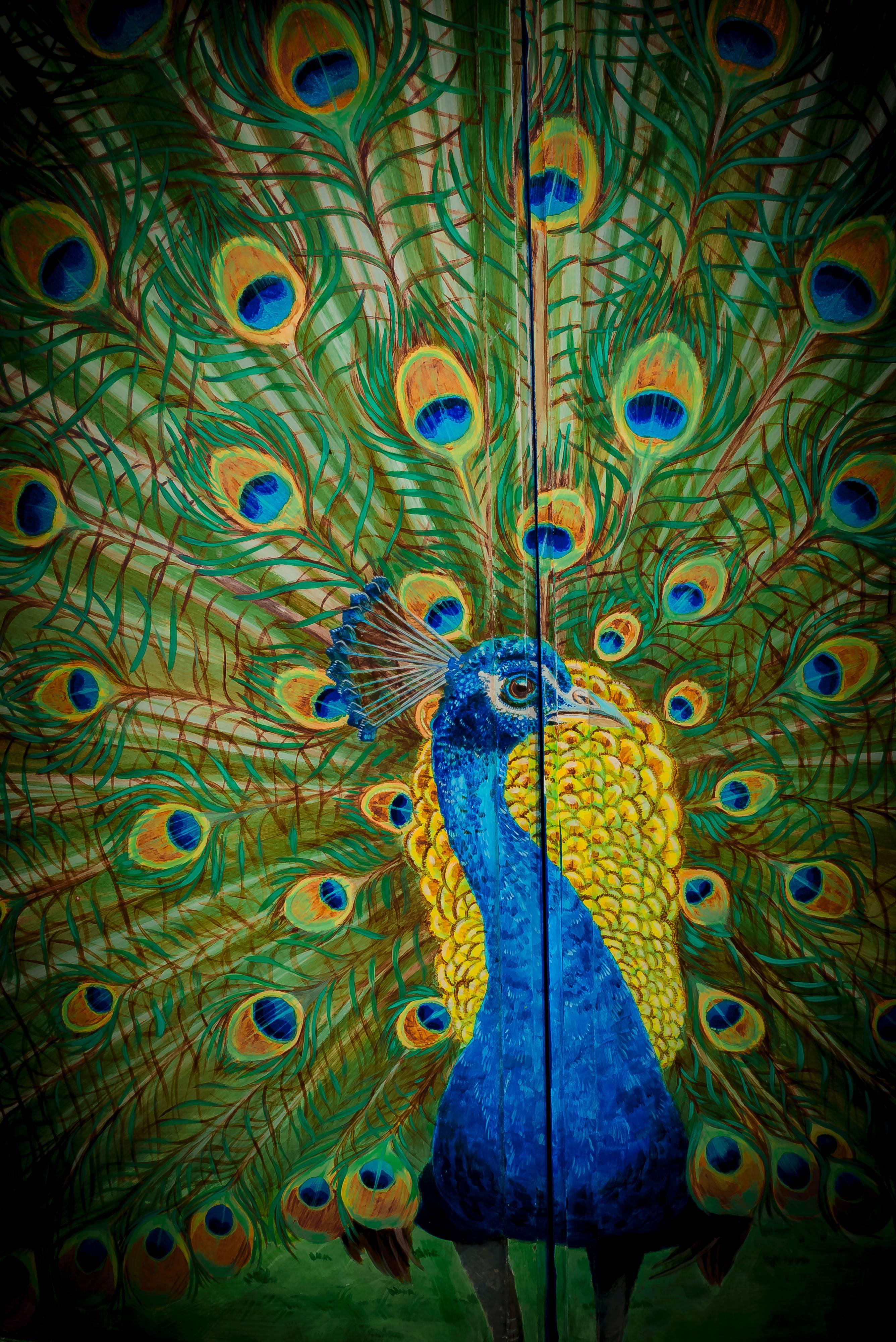 Lacquered Peacock Sideboard Hand-Painted by Kensa Designs For Sale 3