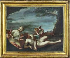 “the Toilet of Venus” Oil on Canvas by Francesco Albani