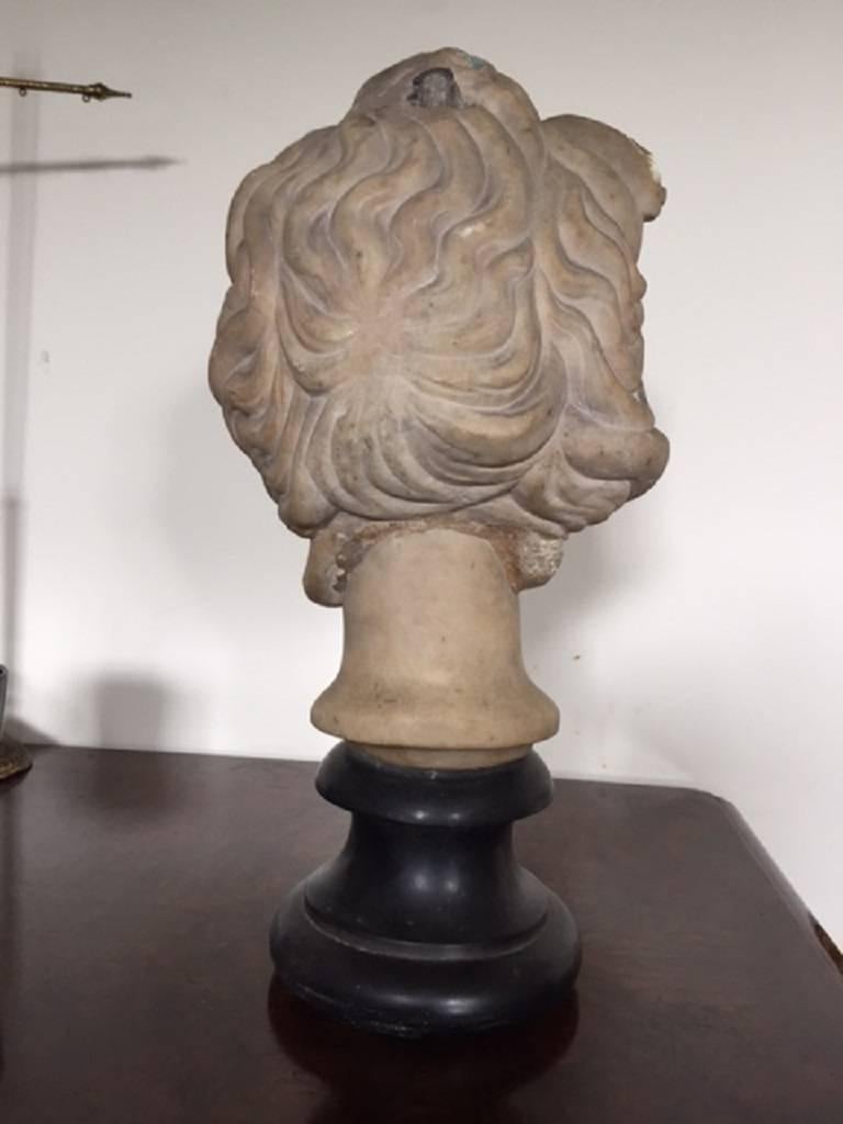 Italian 17th Century, Roman Marble Head of Medusa For Sale