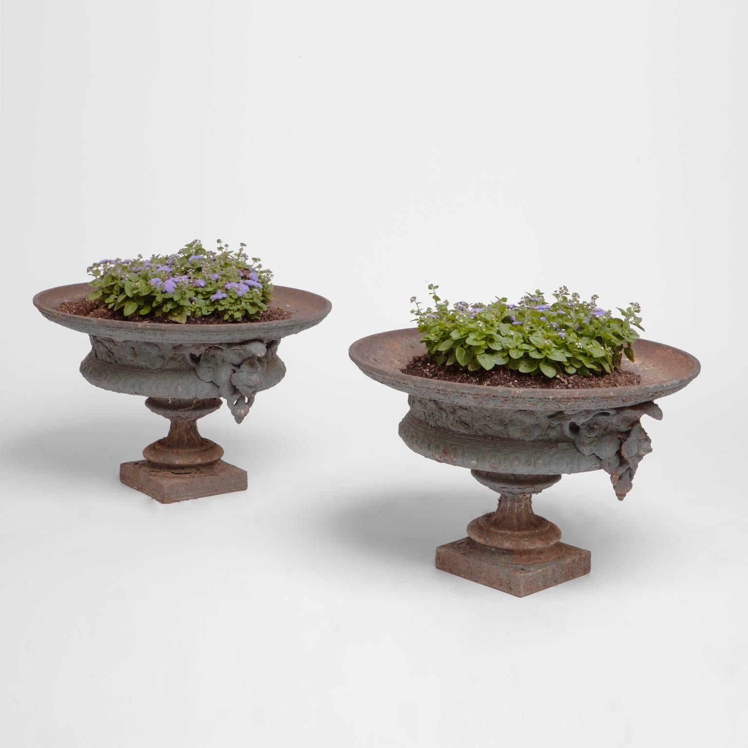 Pair of 19th Century French Iron Urn Planters In Good Condition In Southampton, NY