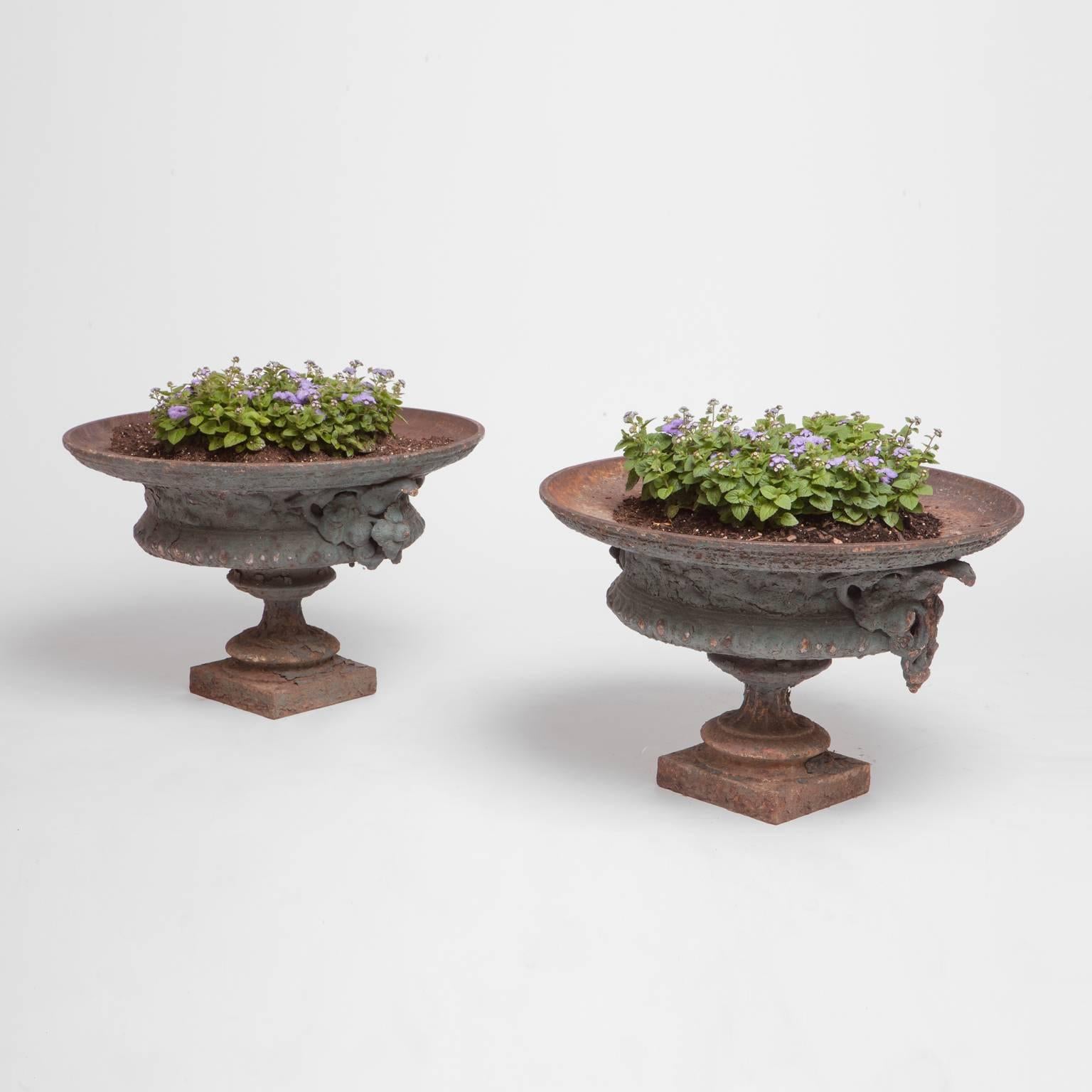 Pair of 19th Century French Iron Urn Planters 1