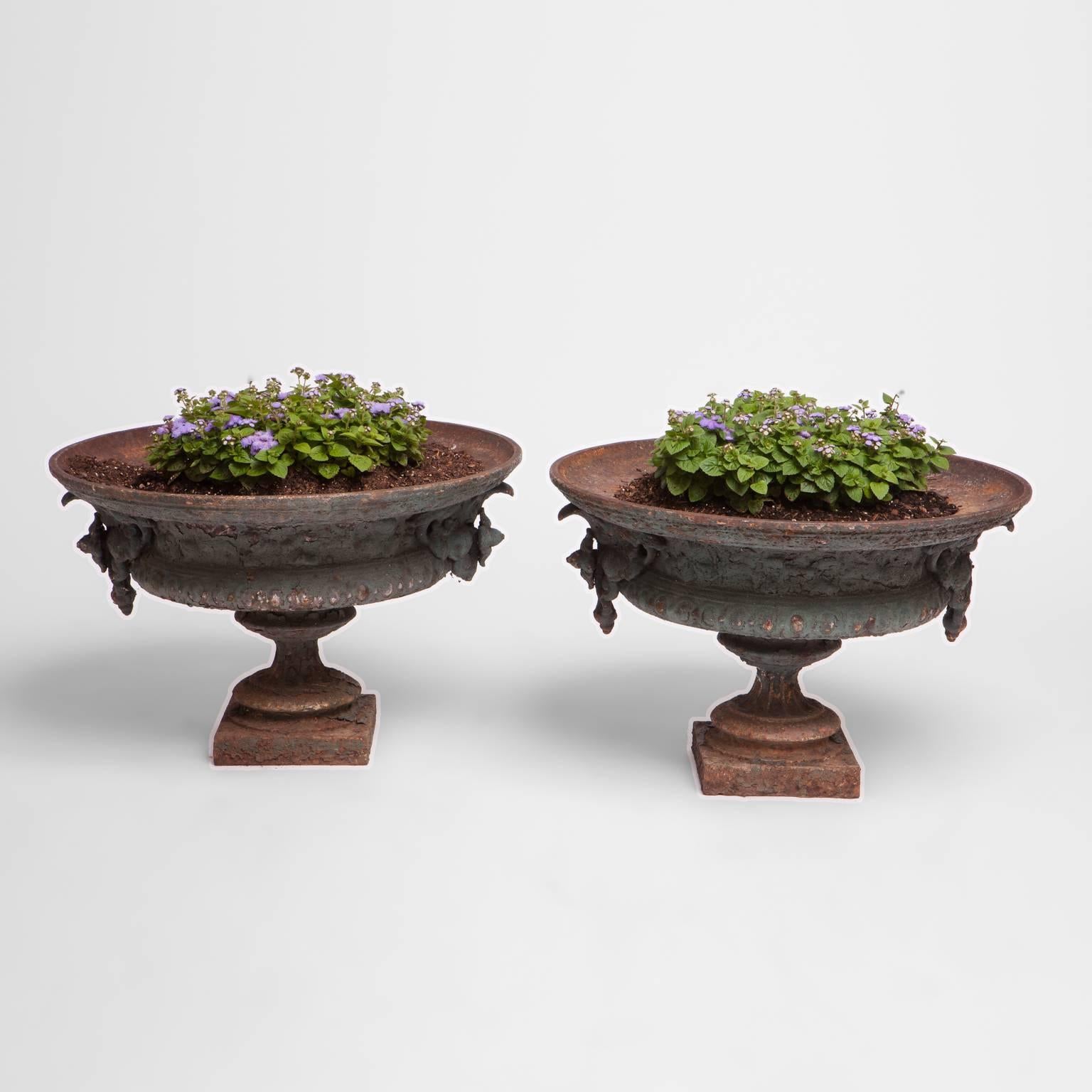 Pair of 19th century French iron urn planters with original green paint and natural patination. Classic pedestal urns with intricate floral motif on either side of urn with egg and dart motif decorating the perimeter edges.