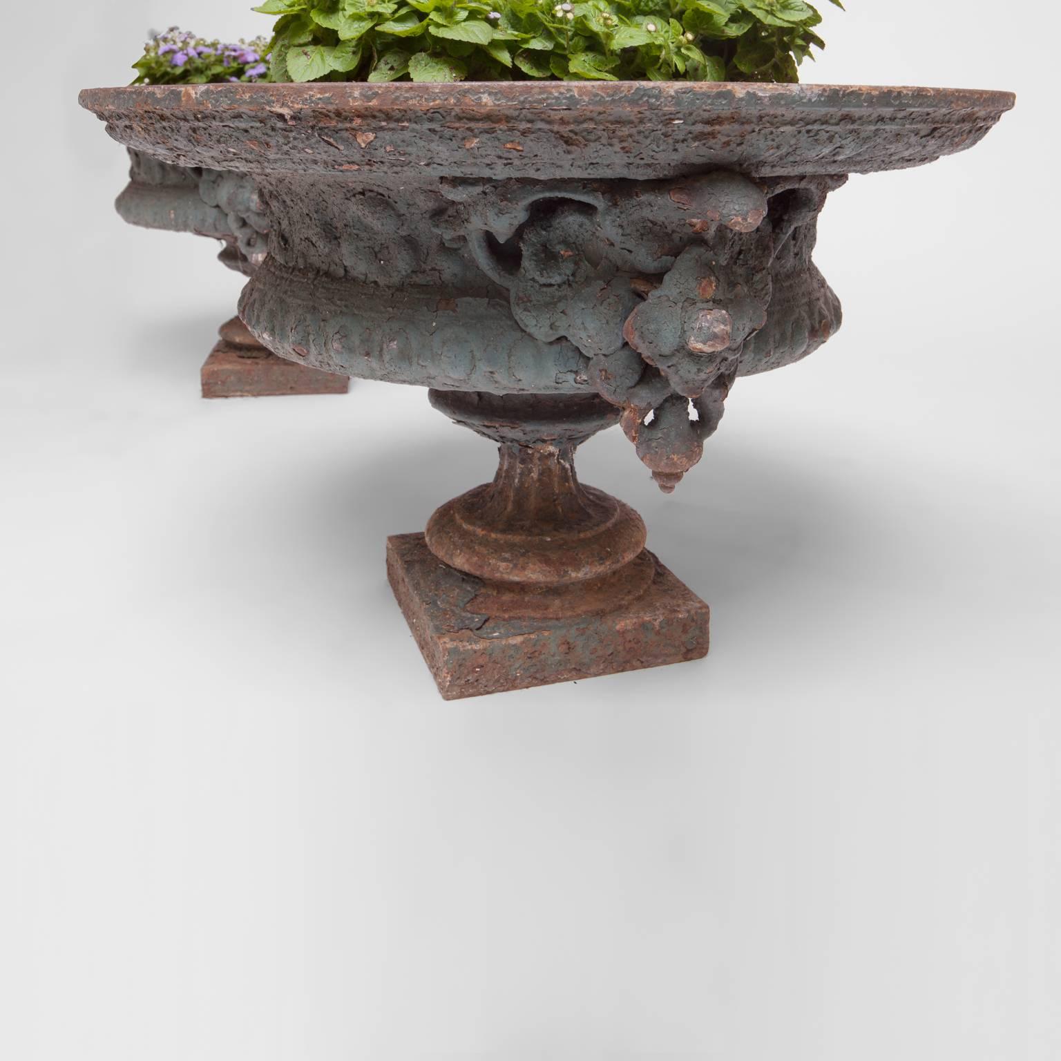 Pair of 19th Century French Iron Urn Planters 2