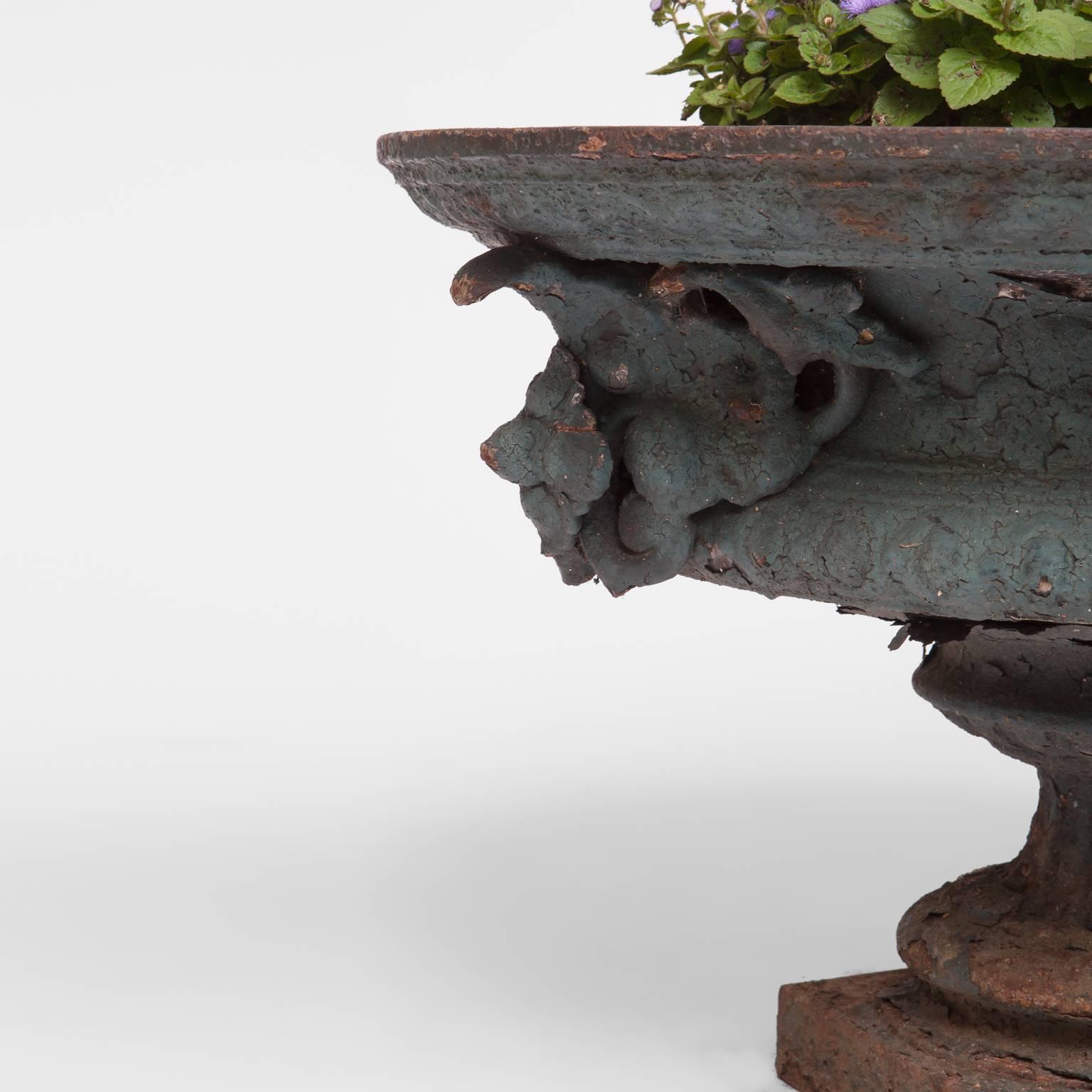 Pair of 19th Century French Iron Urn Planters 3