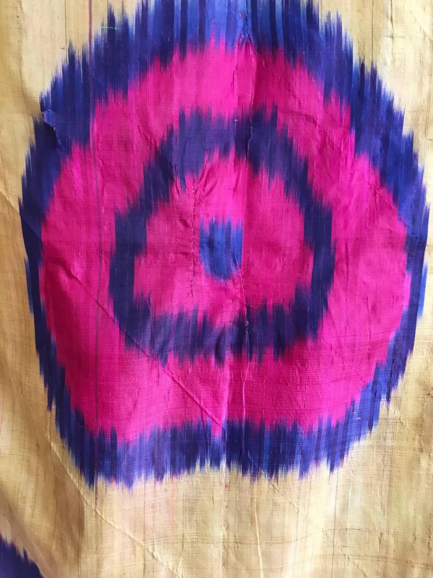 Embroidered 19th Century Antique Silk Ikat Throw For Sale