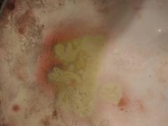 Keller and Guérin, Orchid Cachepot, circa 1900