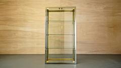 Italian Glass/Brass/Chrome Display Cabinet by Renato Zevi, Rizzo/Rega