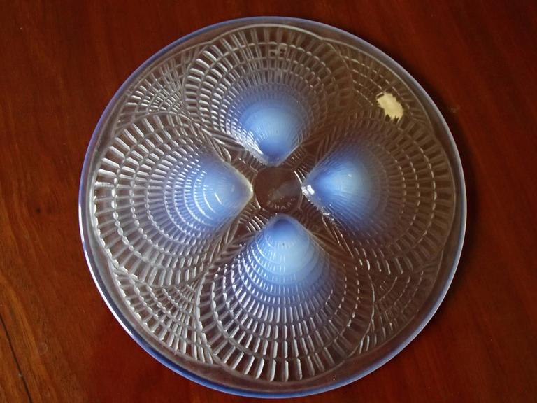 Lalique Plate and Bowl Shells For Sale at 1stDibs