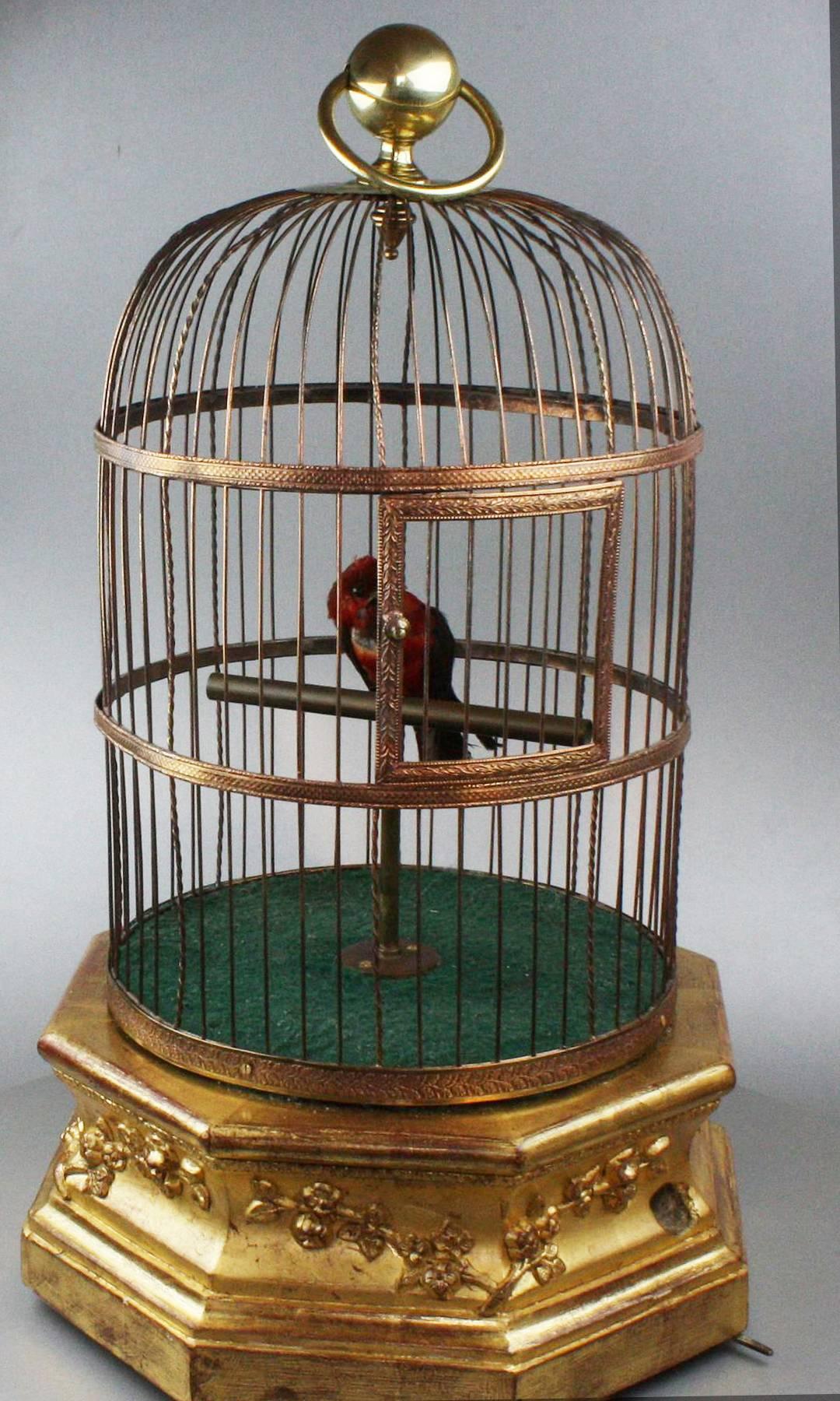 A fine large antique hexagonal base single singing bird in cage by Bontems.
 
French,
 
circa 1900.
 
Video available upon request
 
When wound and the start/stop lever actuated, the full taxidermy perched bird moves beak, bobs tailfeather
