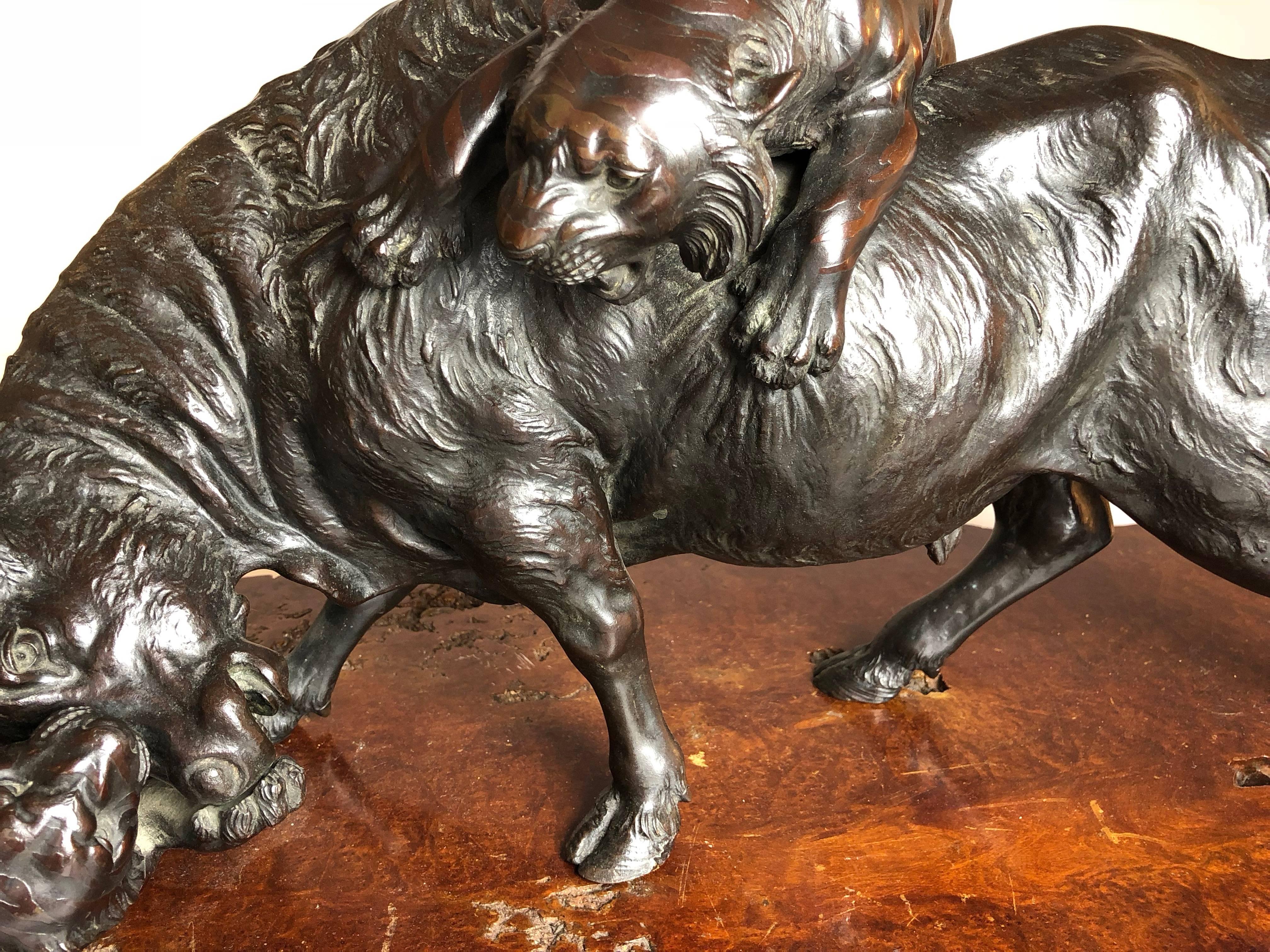 Very Large Meiji Period Japanese Bronze of a Buffalo Being Attacked by Tigers 2