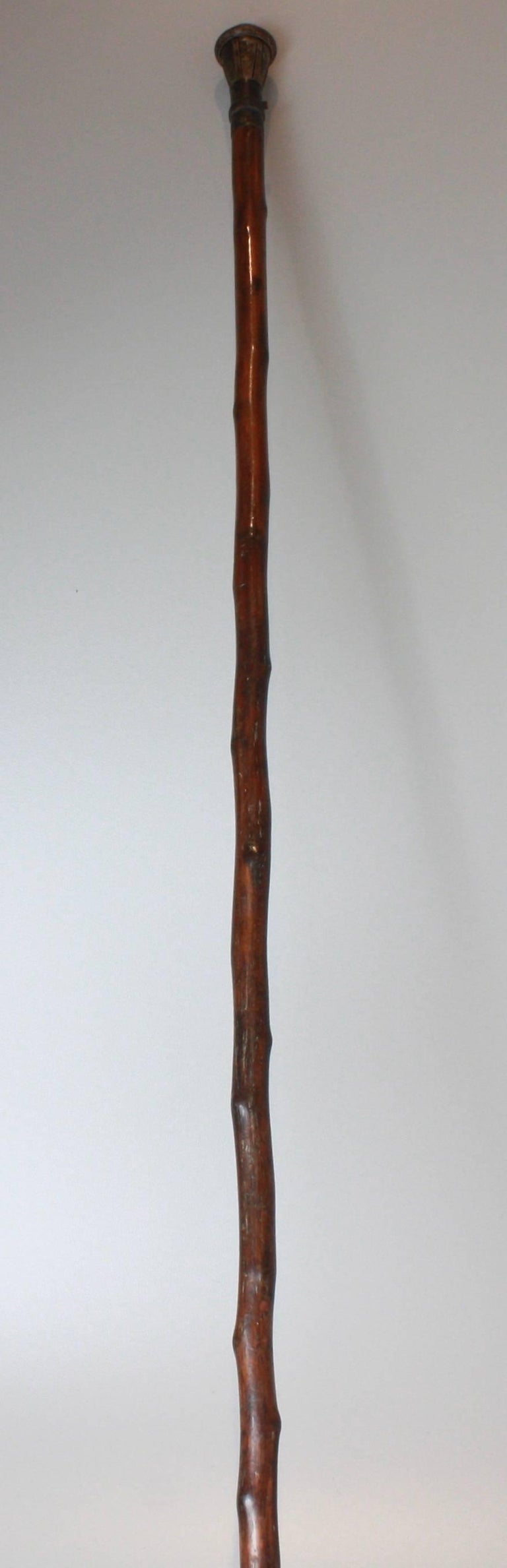 Very Rare 19th Century French Walking Stick 'Life Preserver' Cane