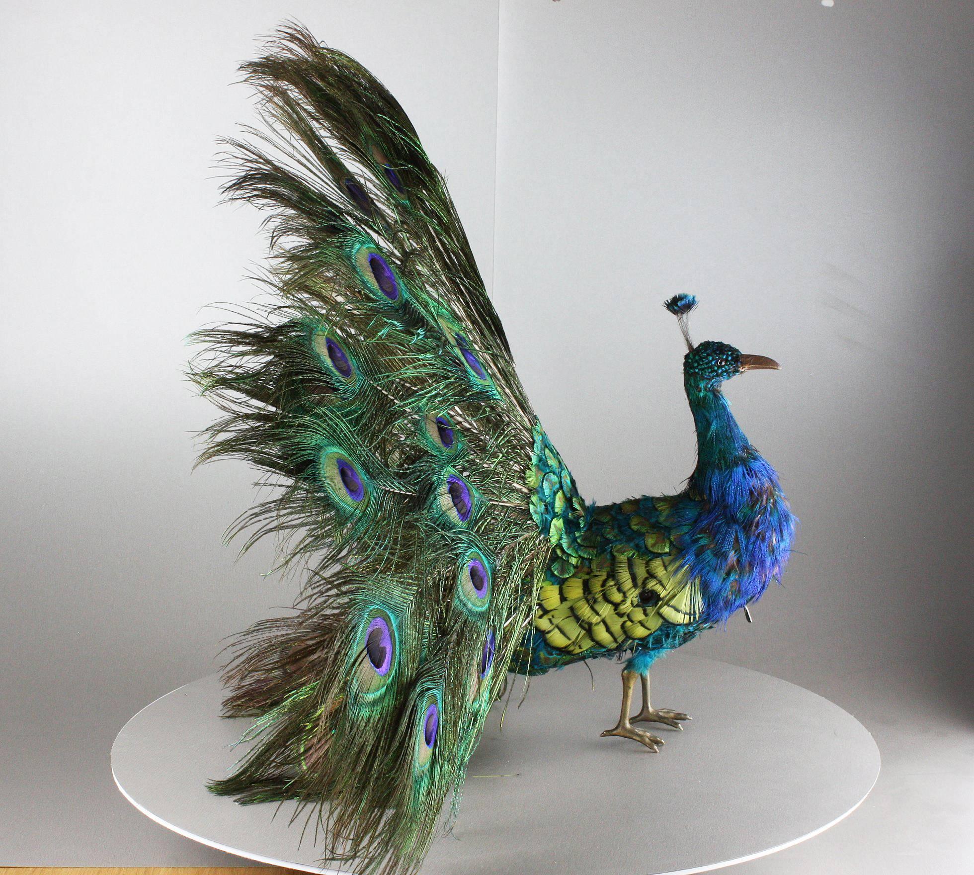A very rare antique walking and fantail-displaying Indian peacock automaton by Roullet & Decamps,
 
French,
 
circa 1890.
 
R&D catalogue number 100C.
 
The internationally renowned and rarest third size model,
 
A video is available upon