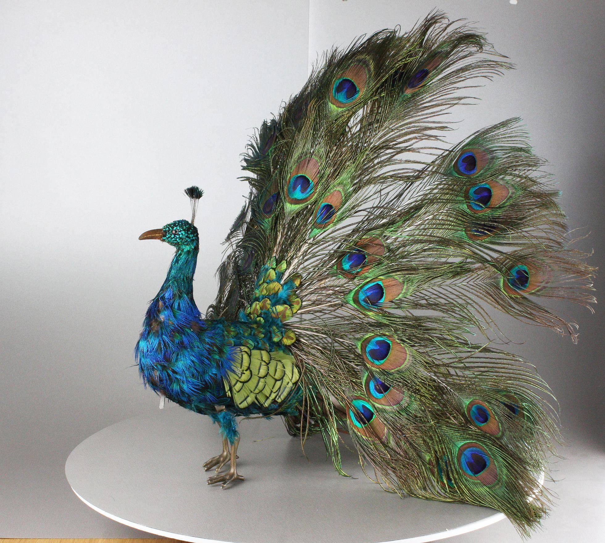 peacock automaton for sale