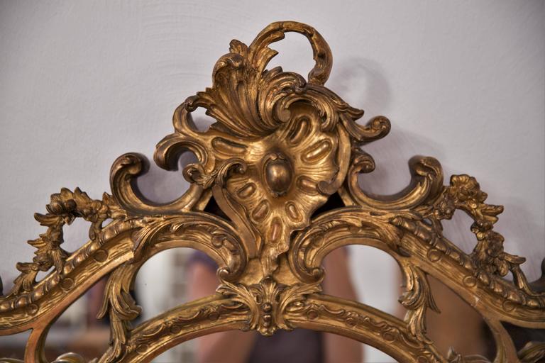 Large French Rococo Revival Louis XV Mirror Carved Giltwood and Gesso For Sale at 1stdibs