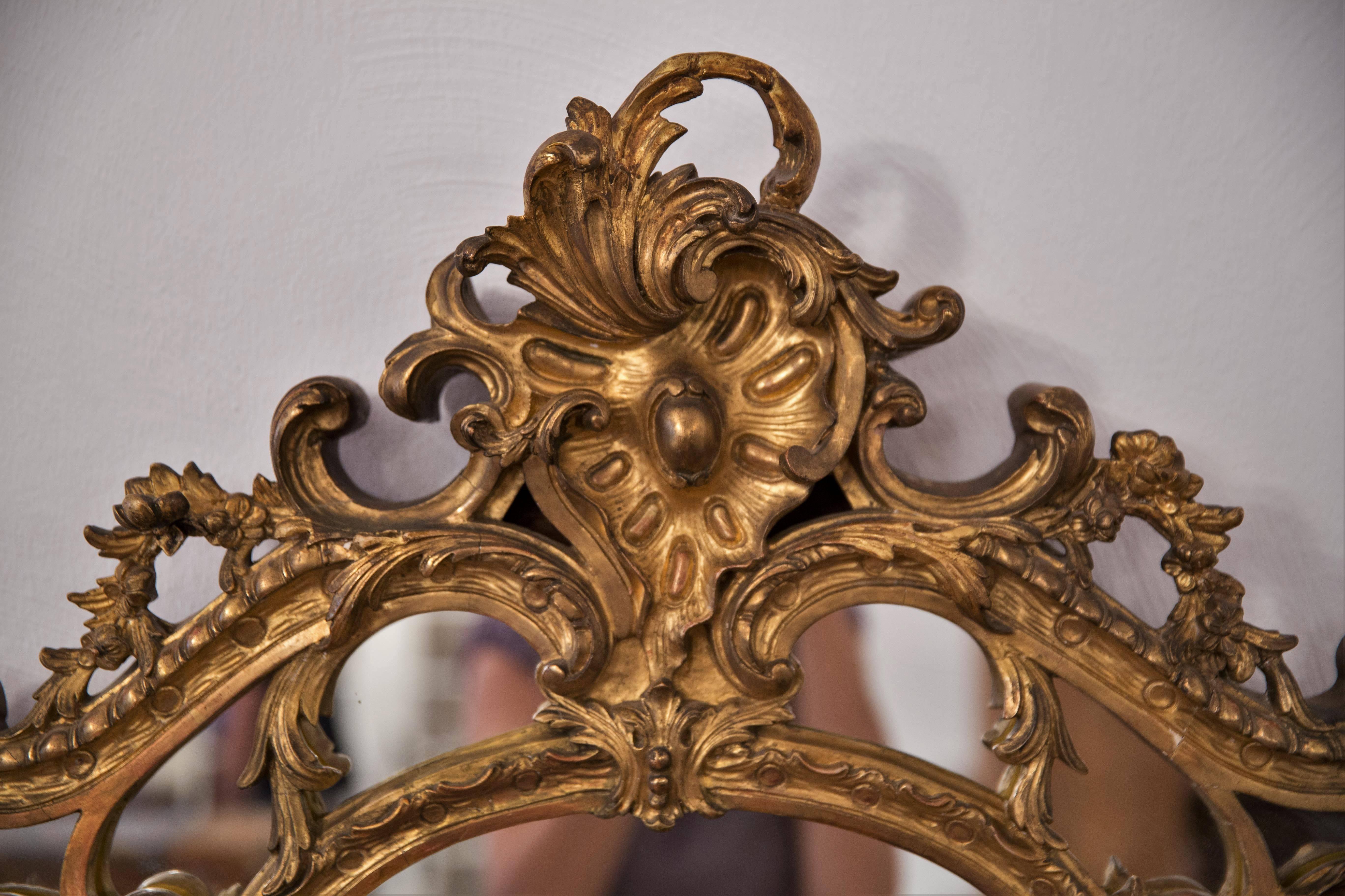 Large French Rococo Revival Louis XV Mirror Carved Giltwood and Gesso In Good Condition For Sale In Ettlingen, Baden-Wurttemberg