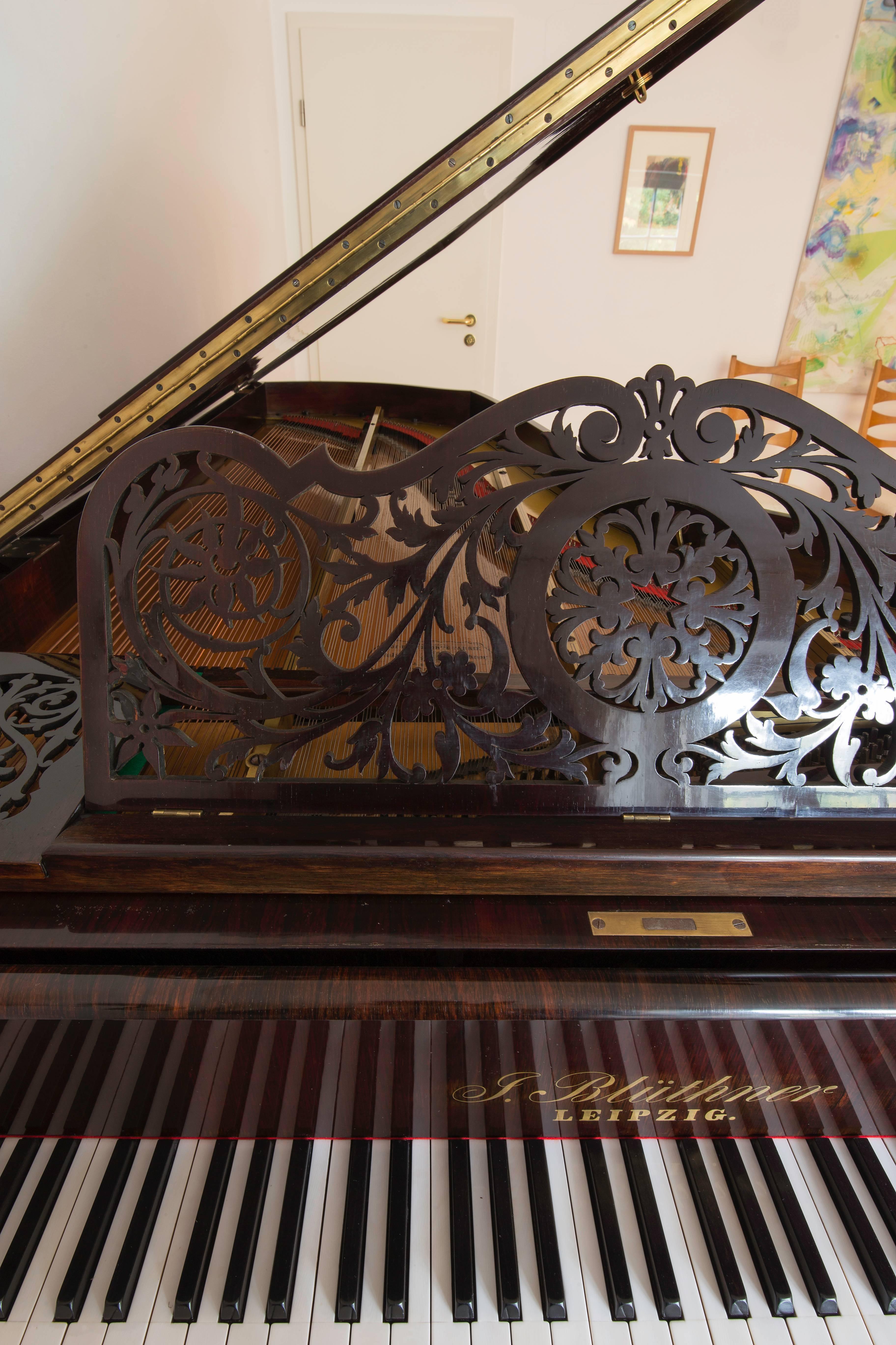 German Stunning Romantic Biedermeier Grand Piano Blüthner Leipzig Case, 19th Century