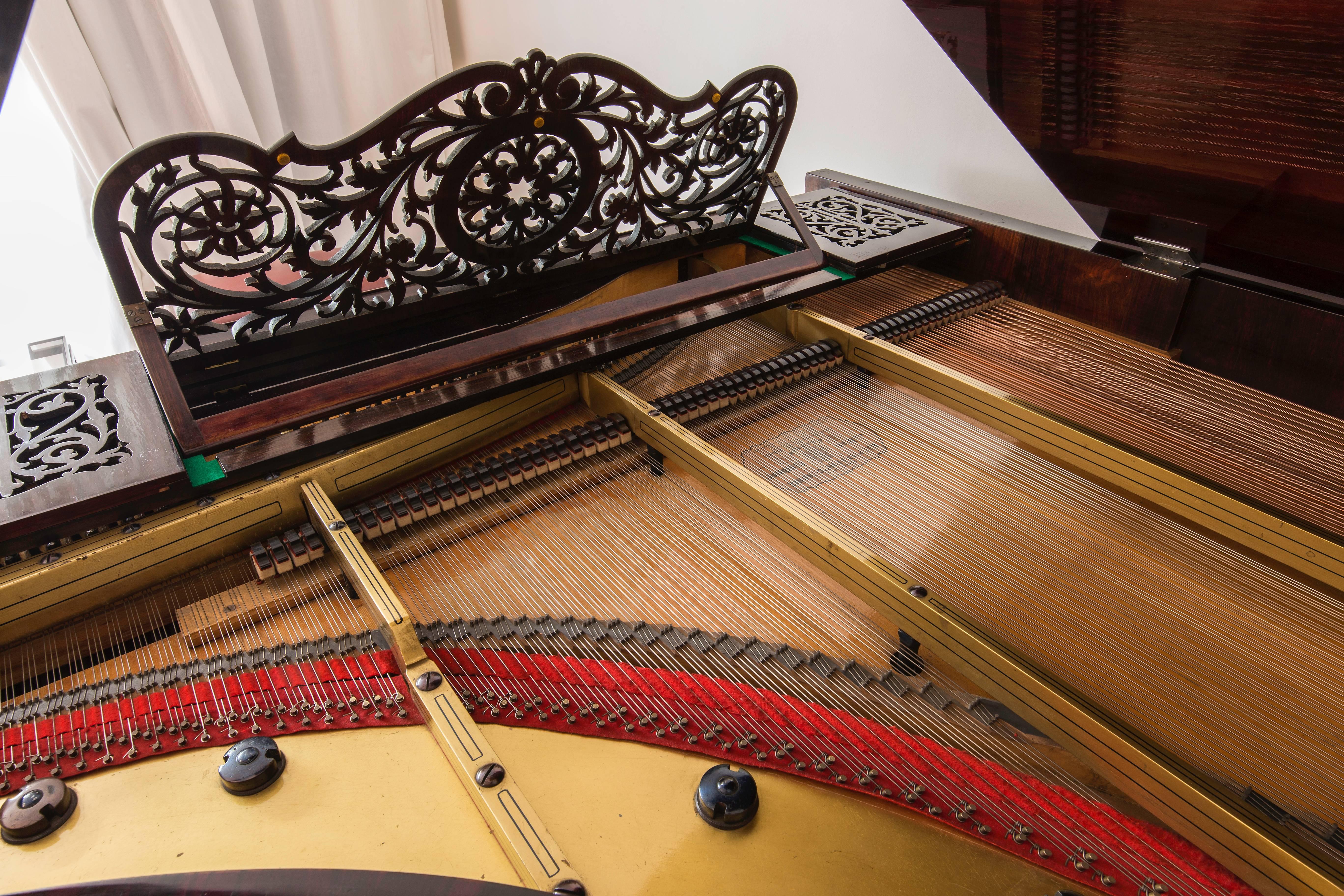 Appliqué Stunning Romantic Biedermeier Grand Piano Blüthner Leipzig Case, 19th Century