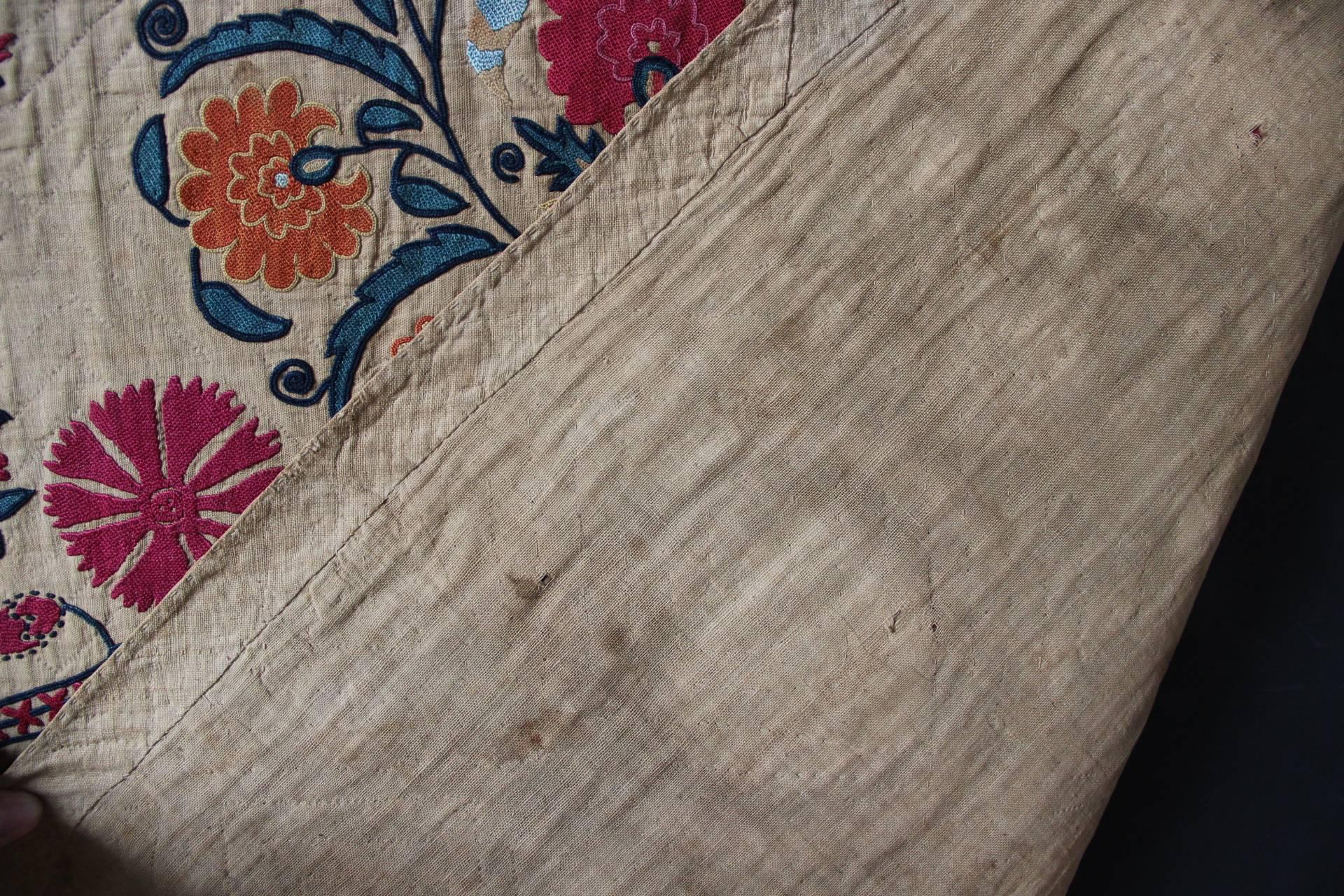 Early 19th Century Ura Tube Suzani, Silk Embroidery, Uzbekistan 6