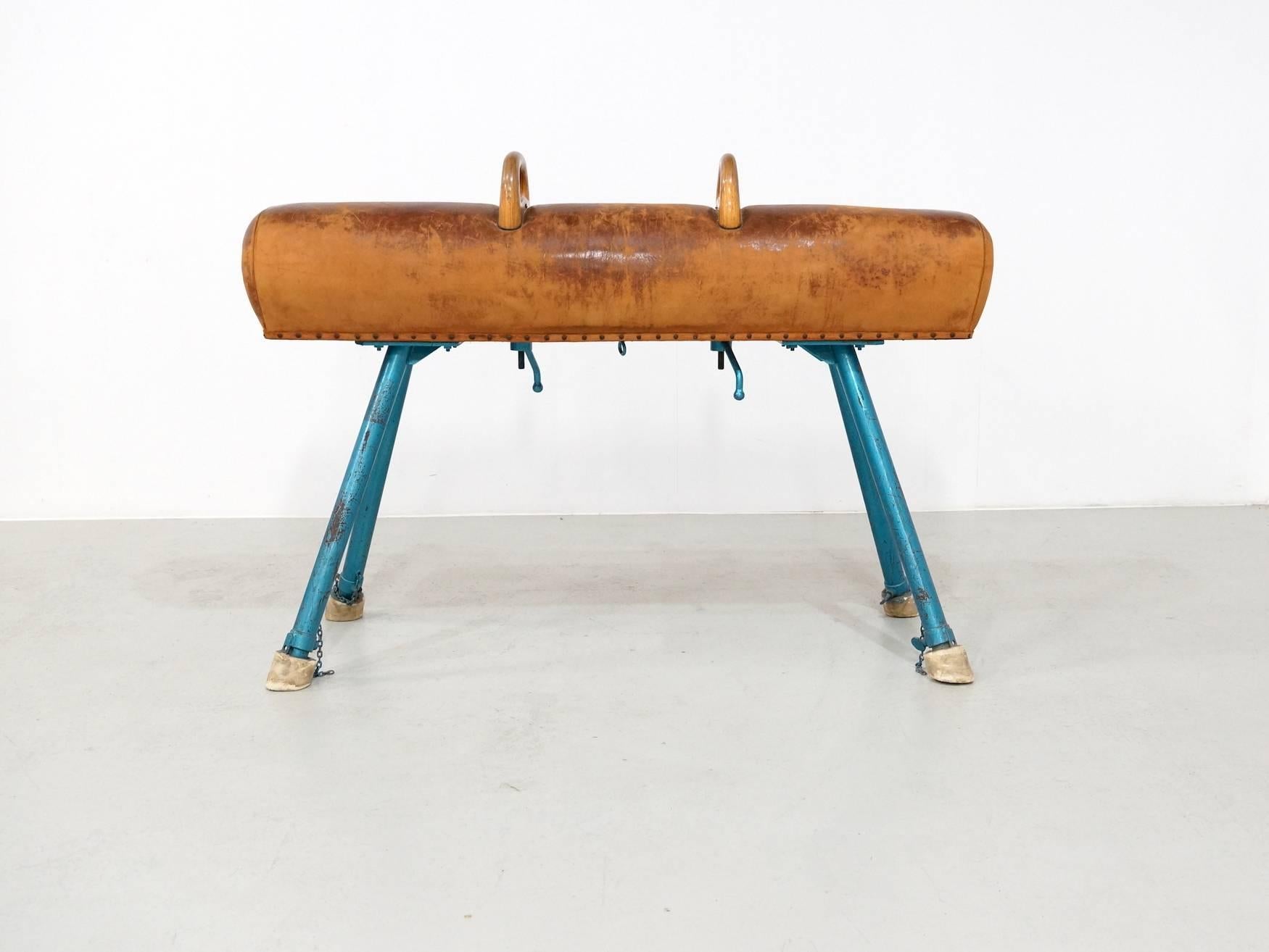 Bentwood Vintage Pommel Horse on an Iron Base, 1950s For Sale