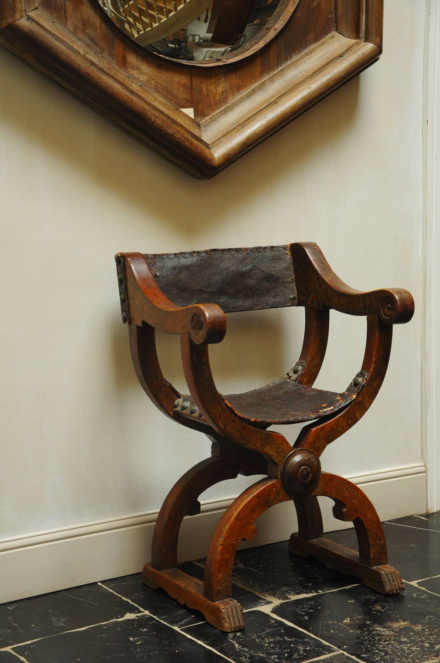 Curule chairs like this one are often called Dante or Savonorella chairs because they were often depicted in 16th century engravings. We now know that the origins of this chair type date back to the Egyptians and were popularized by the Romans as a