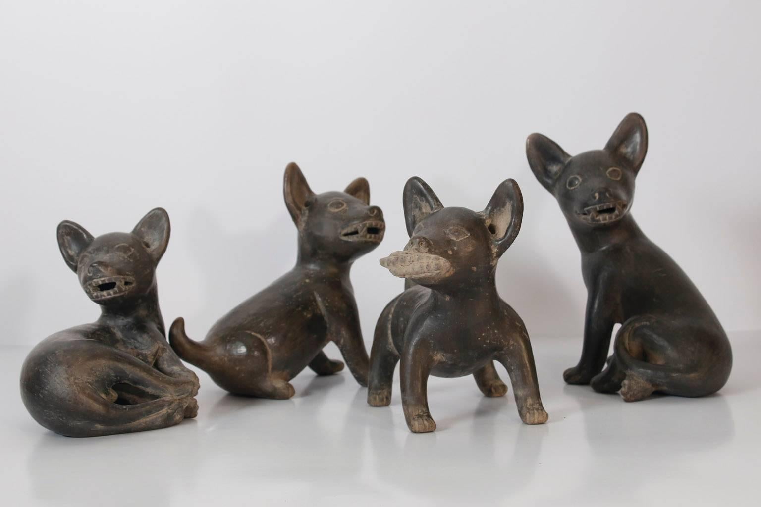 This set of four ceramic replica sculptures represent the Pre-Hispanic wicXoloitxcuintle dog which was believe accompany its master in death, to aid the soul in crossing rivers of blood along the road of the dead.
These beautiful handmade figures