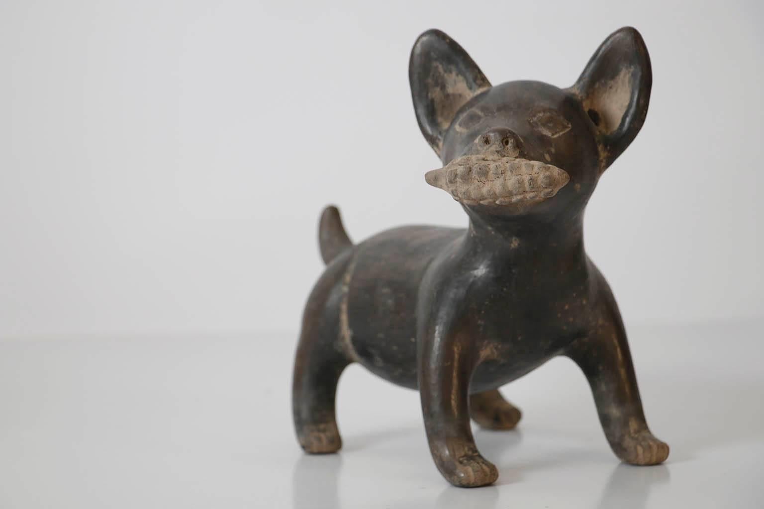 Folk Art  21st Century Set of Four Ceramic Gray Replica Xoloitzcuintle Dogs For Sale