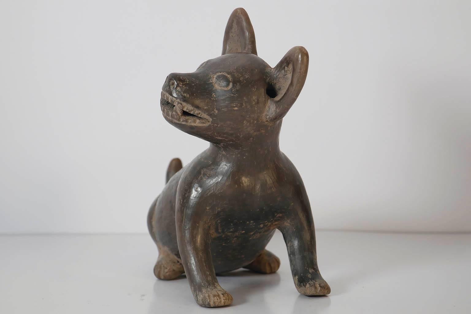  21st Century Set of Four Ceramic Gray Replica Xoloitzcuintle Dogs For Sale 2