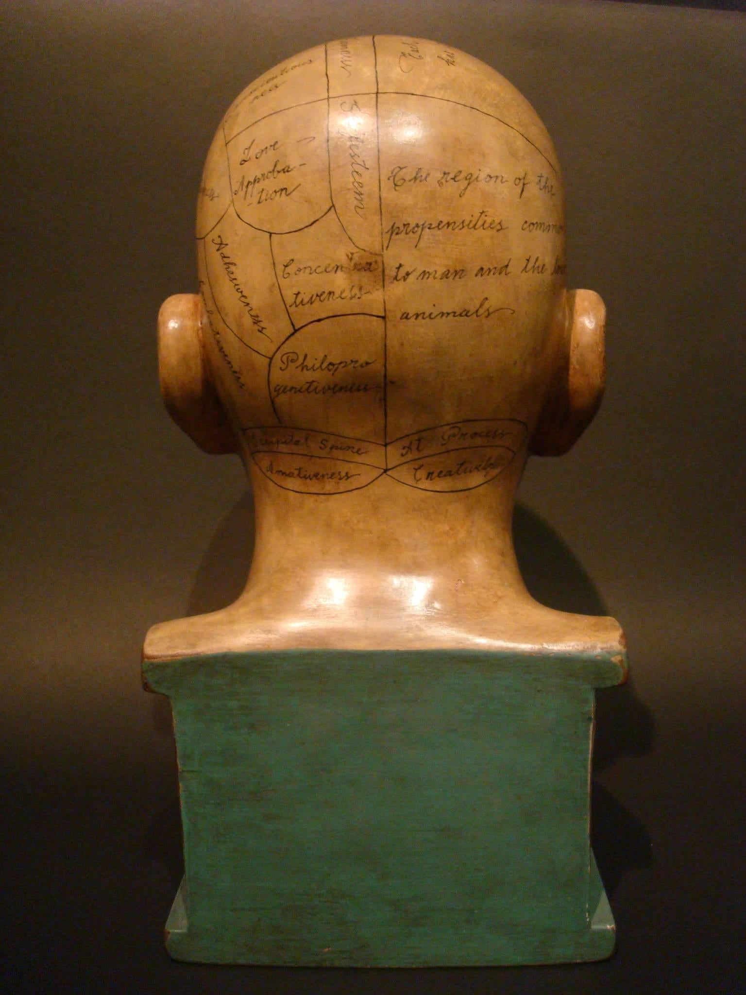 Carved and painted wooden Phrenology head model, America, the head with inset glass eyes, (minor paint wear). Phrenology bust by unknown wood carver, circa 1870. Perfect to decorate a Doctor´s office or someone that works in medicine.