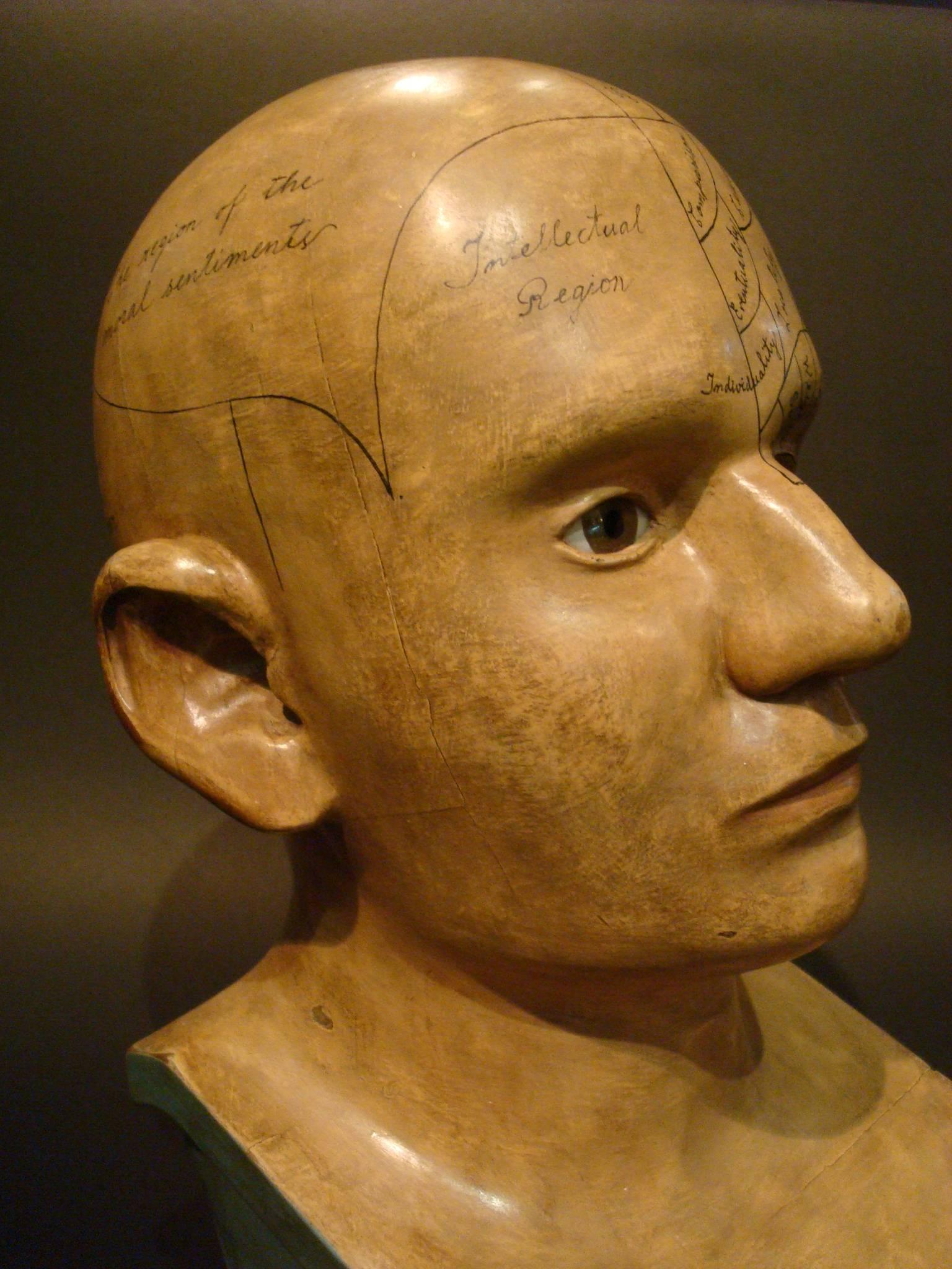 Carved and Painted Wooden Phrenology Head Model Folk Art Americana 4