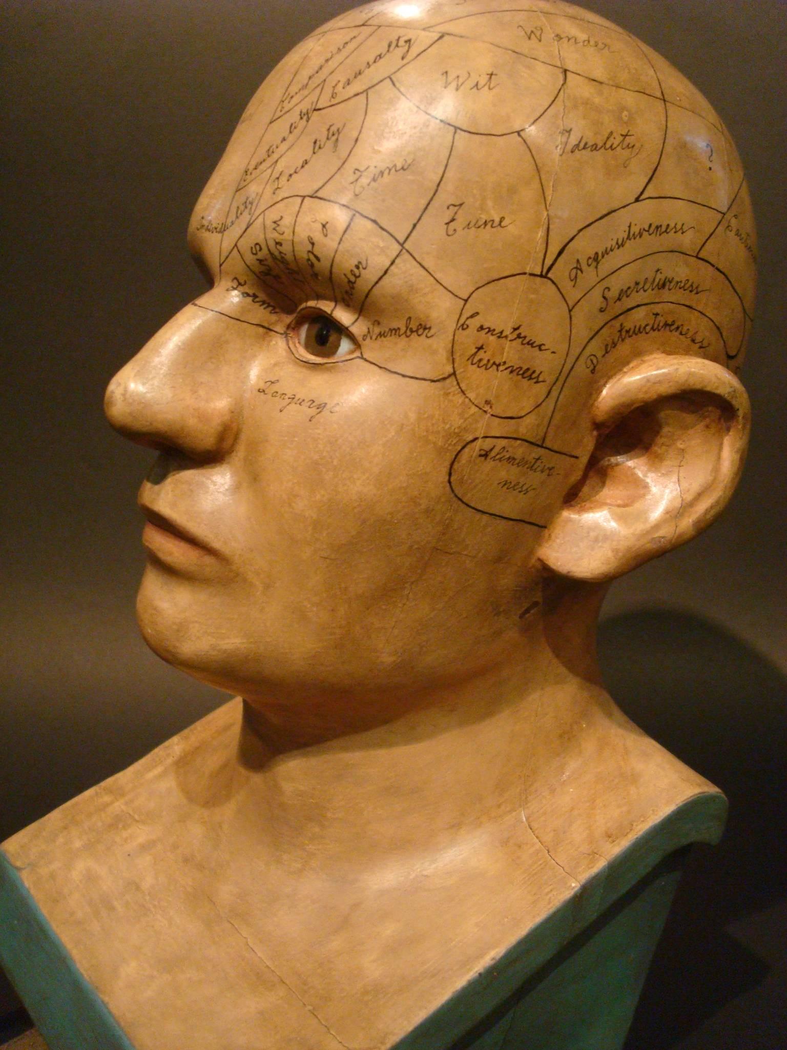 Carved and Painted Wooden Phrenology Head Model Folk Art Americana 5