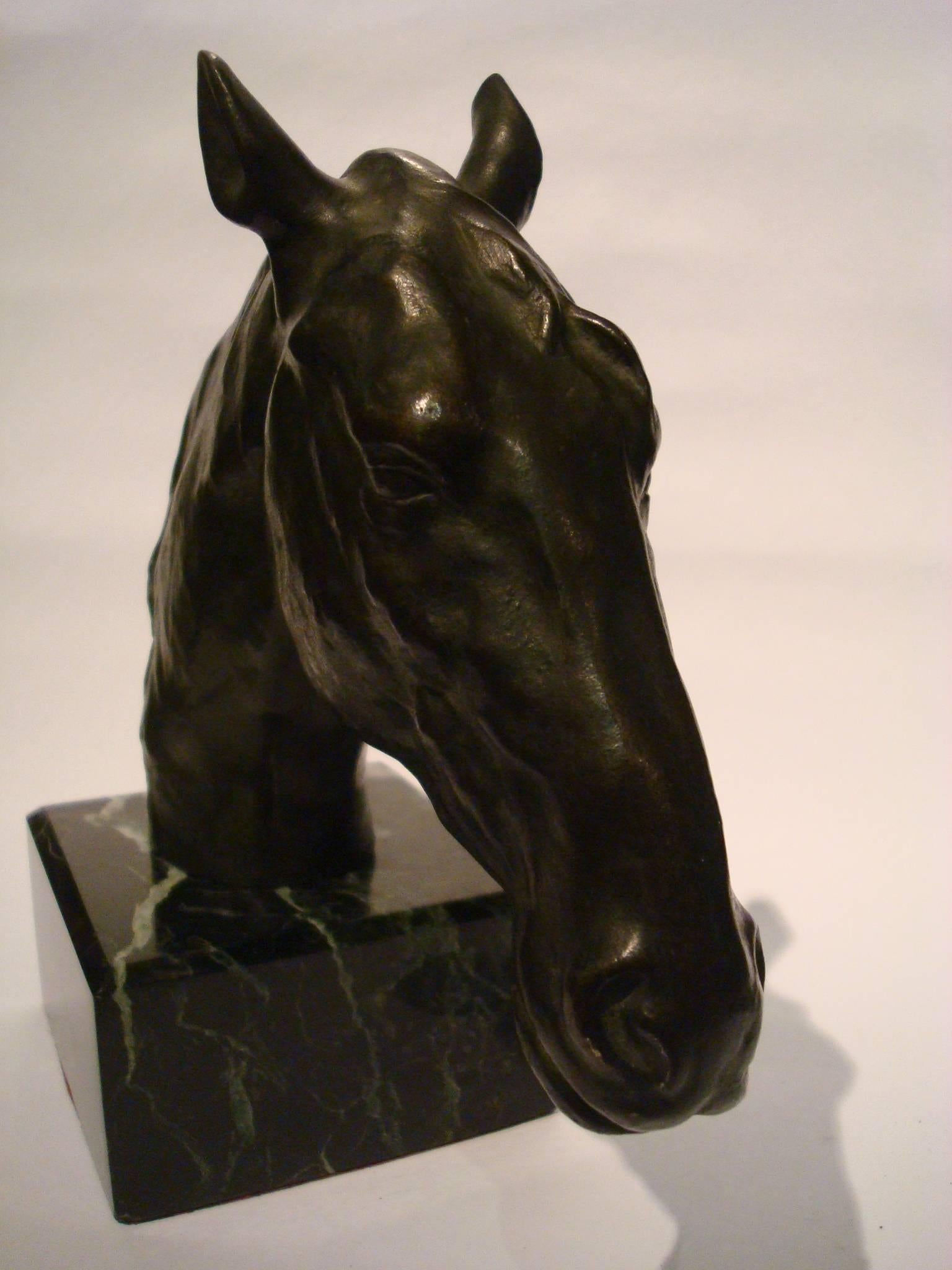 Fantastic Detailed Horse Bust Bronze Sculpture Signed U. Rossi, 1917 In Good Condition In Buenos Aires, Olivos