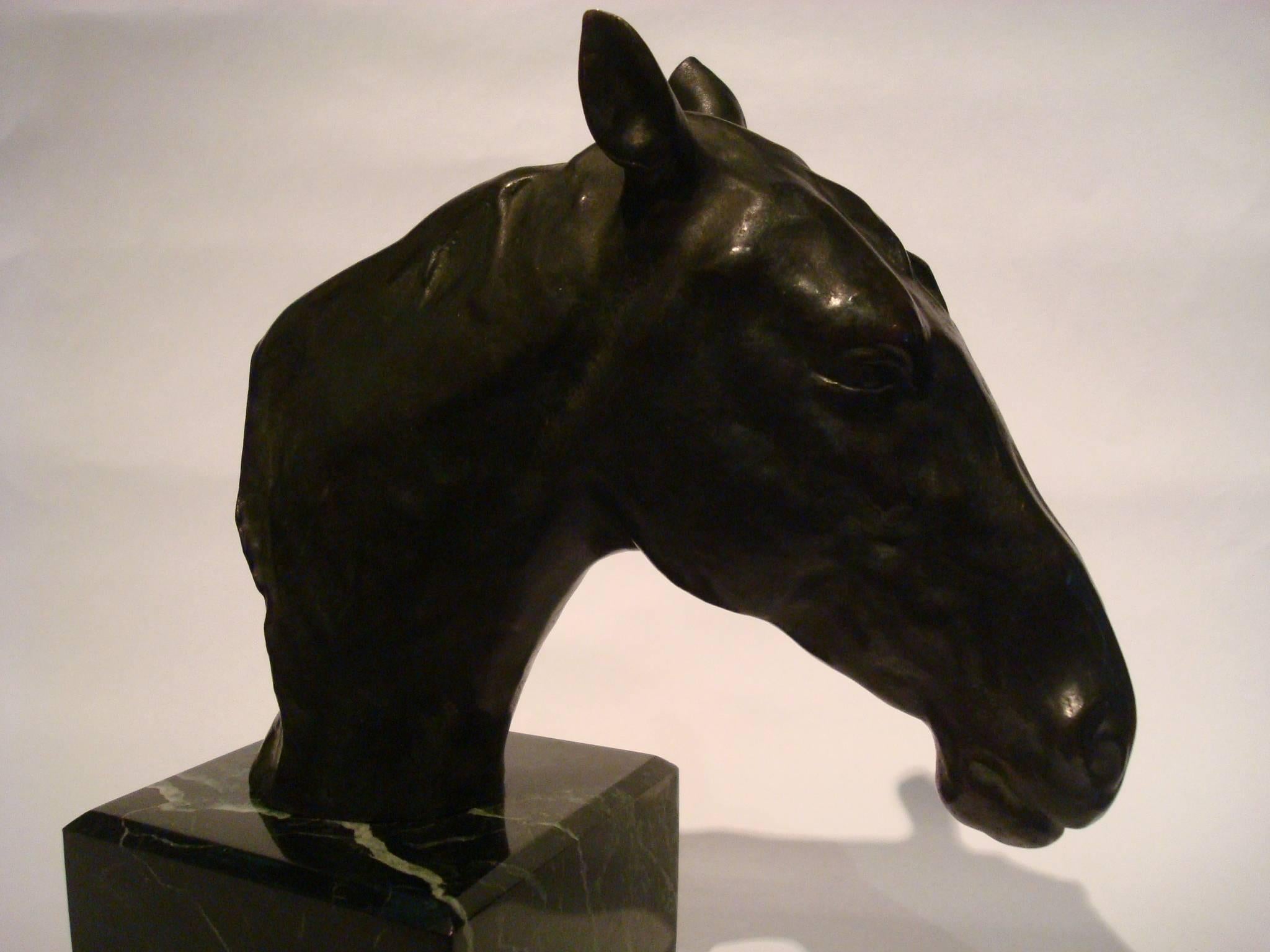 Fantastic Detailed Horse Bust Bronze Sculpture Signed U. Rossi, 1917 1