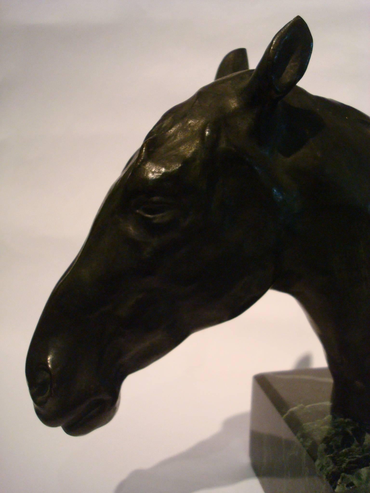 Early 20th Century Fantastic Detailed Horse Bust Bronze Sculpture Signed U. Rossi, 1917