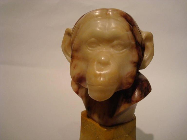 Marble Monkey Bust For Sale at 1stdibs